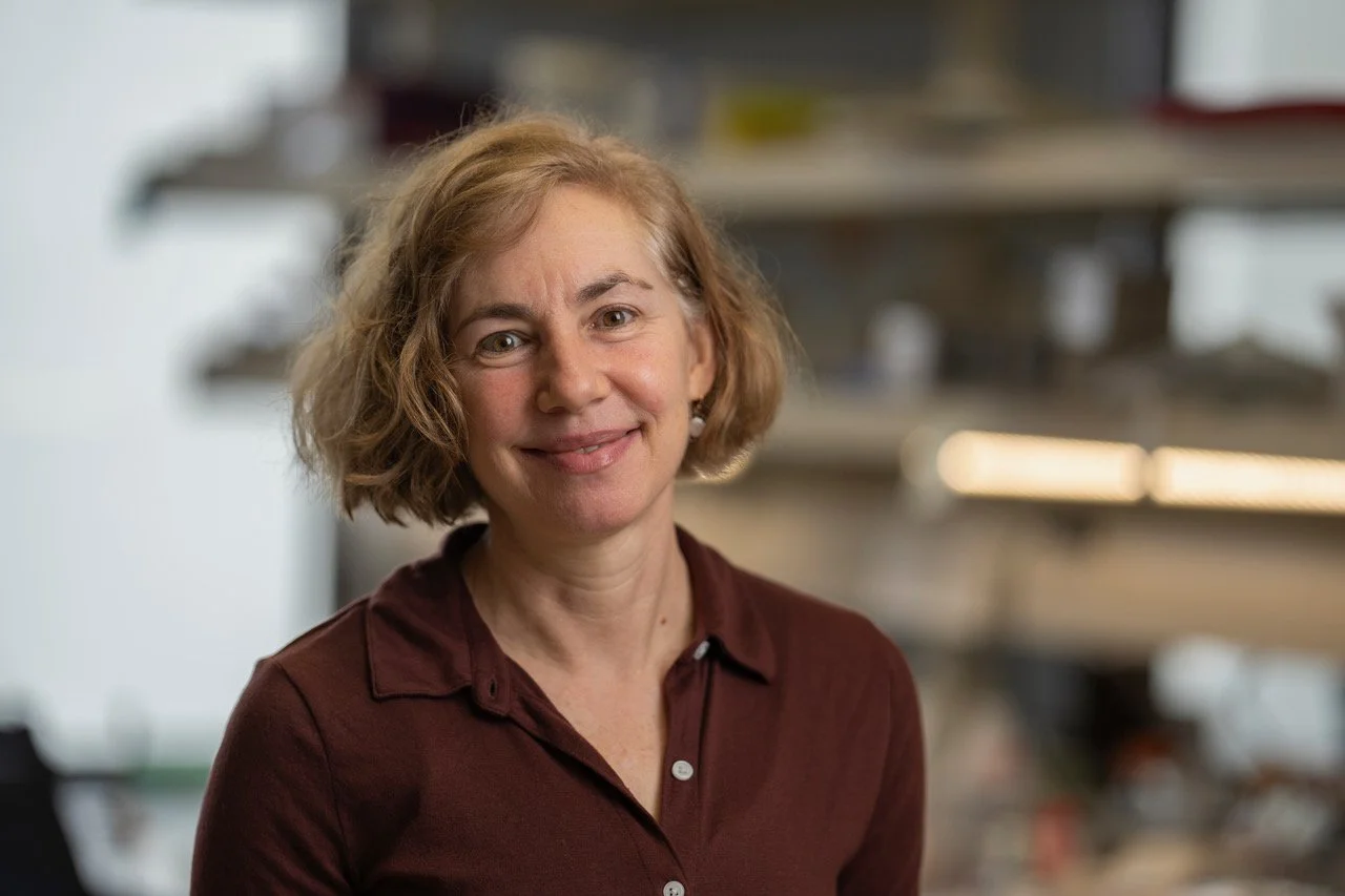 Karen Guillemin, PhD