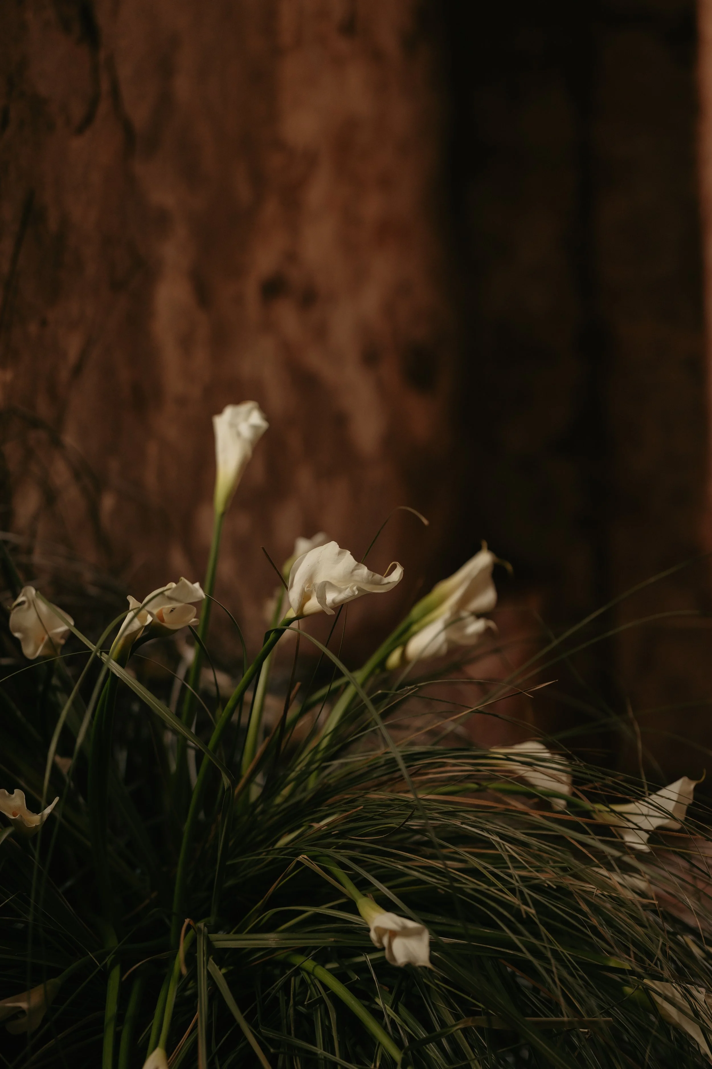 VALE&ANDRES-97.jpg