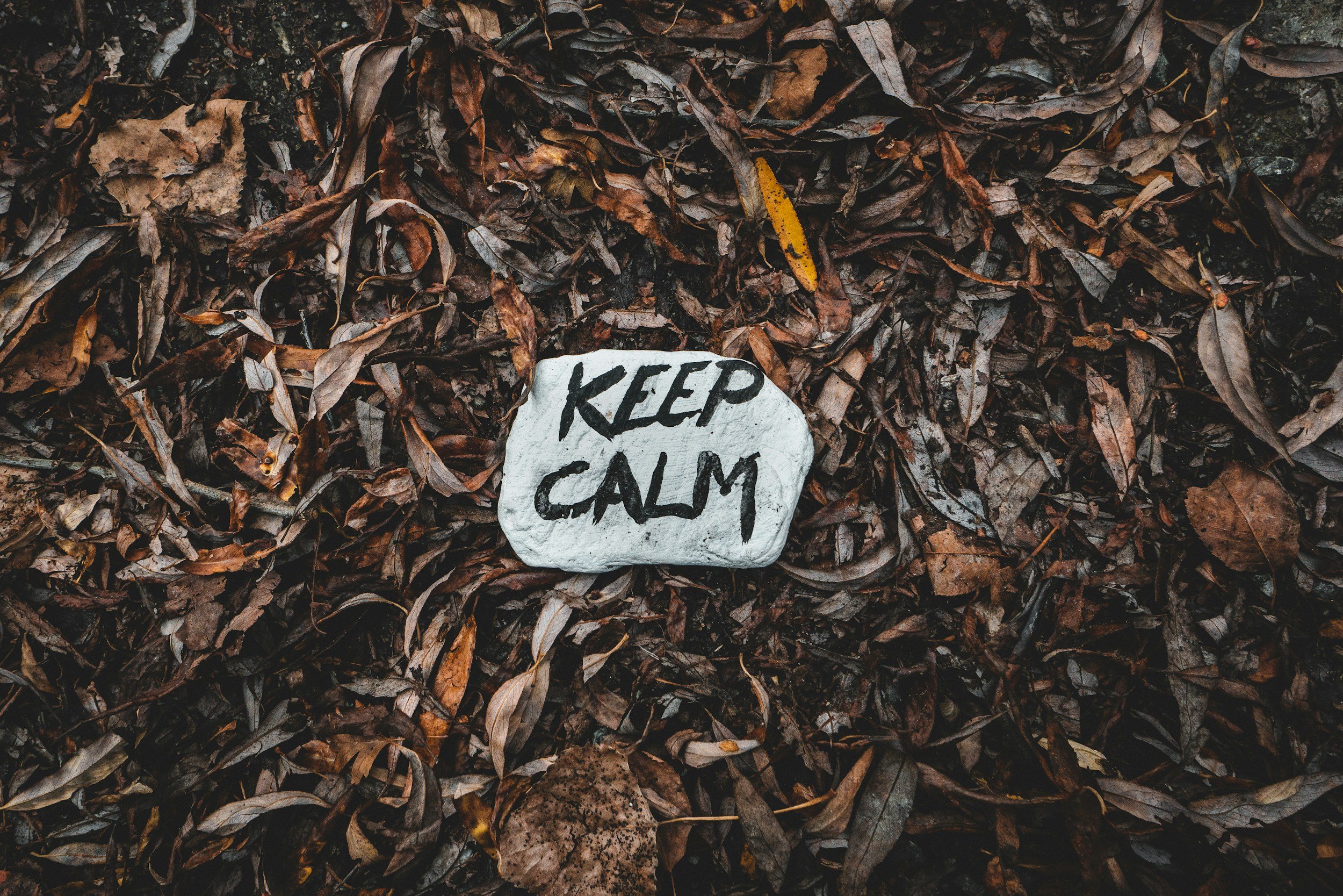 Can a Vitamin treat my anxiety?
