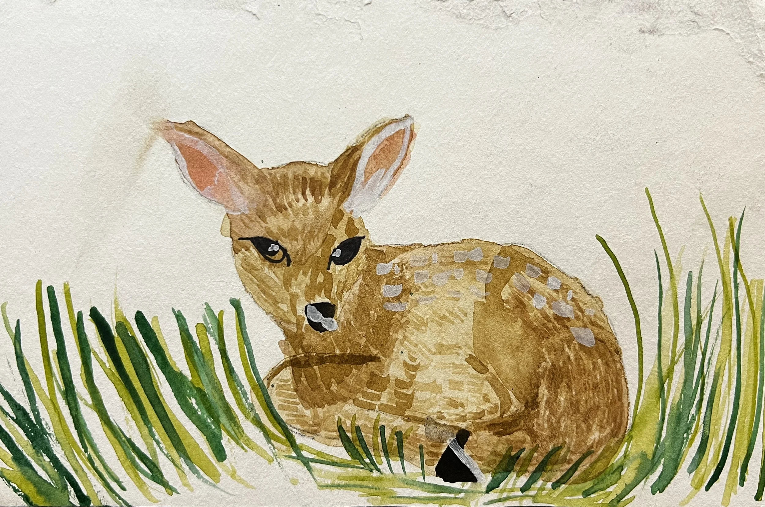 Painting of a deer sitting in the grass