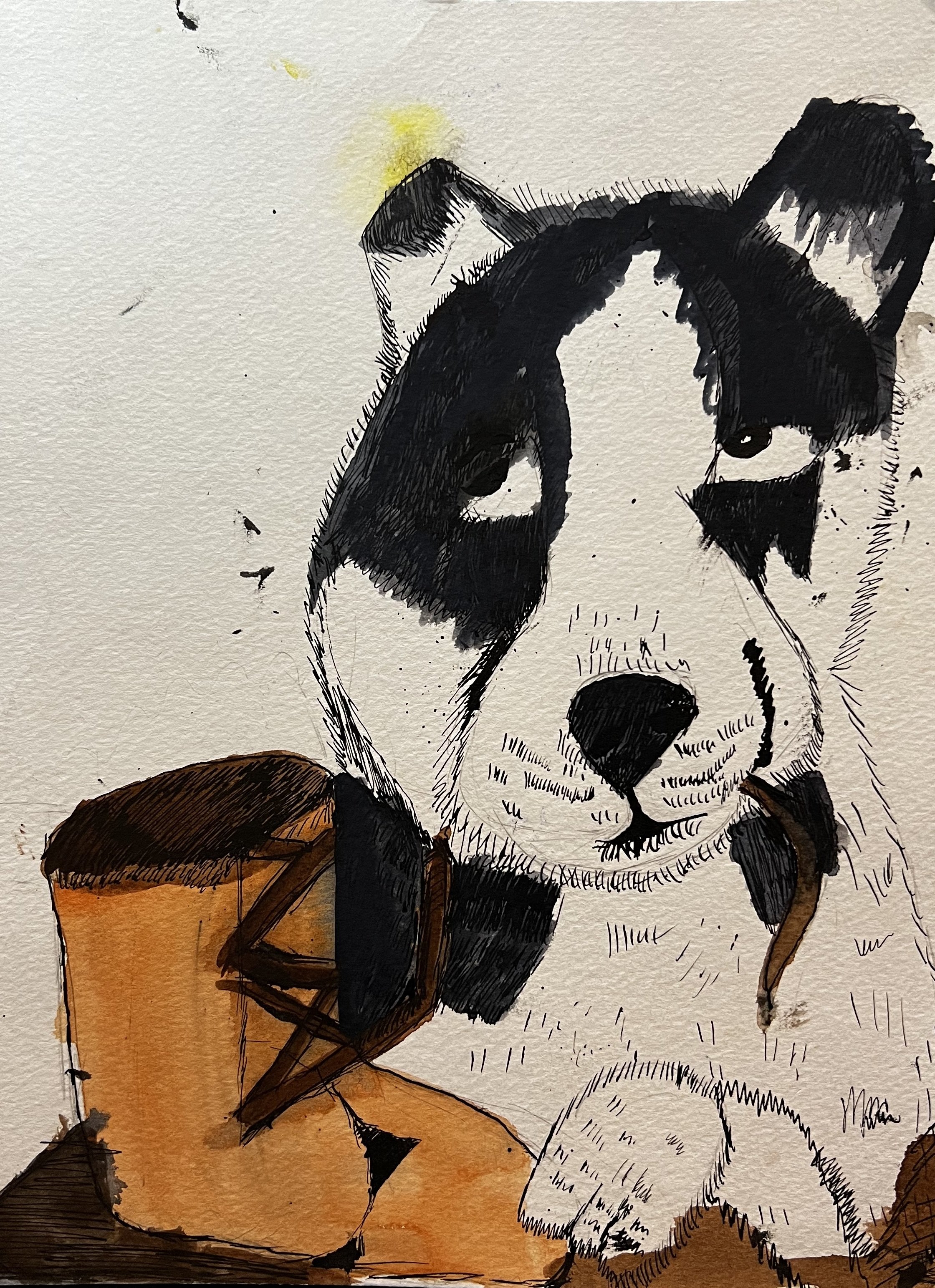 Drawing of a dog chewing a shoelace