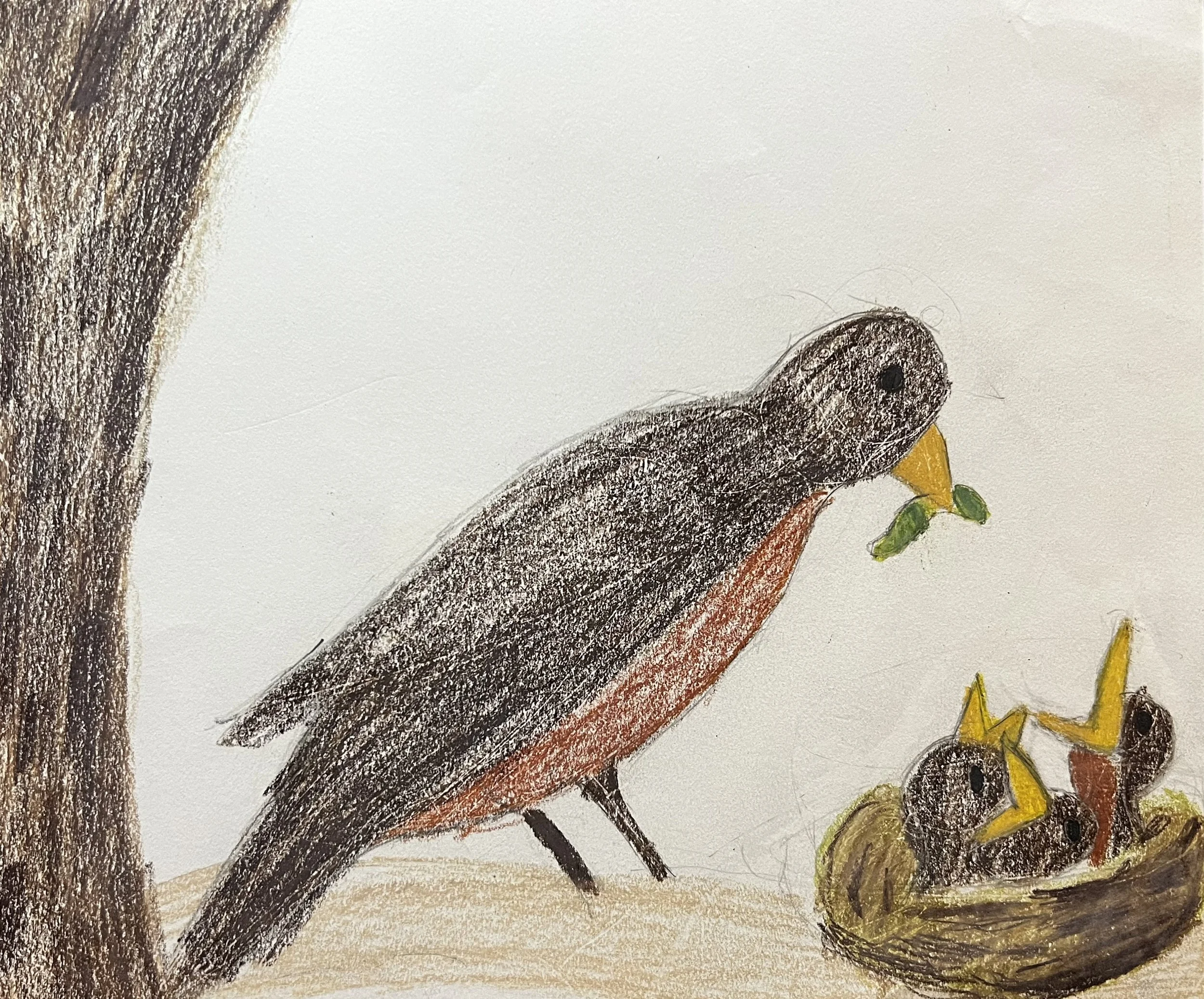 Pastel drawing of a bird feeding its babies