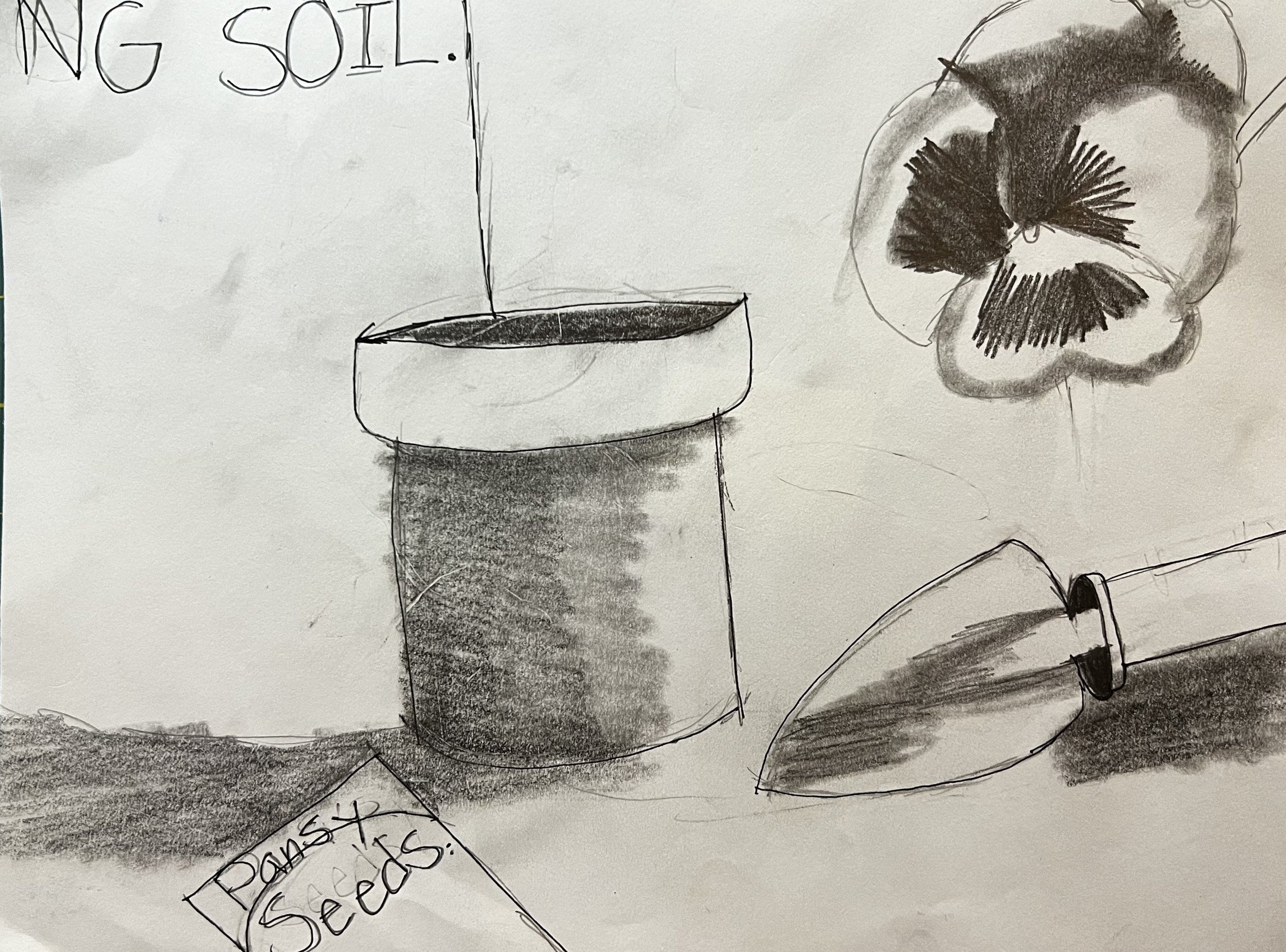 Bag of potting soil, plant pot, packet labeled "pansy seeds", a pansy and a trowel