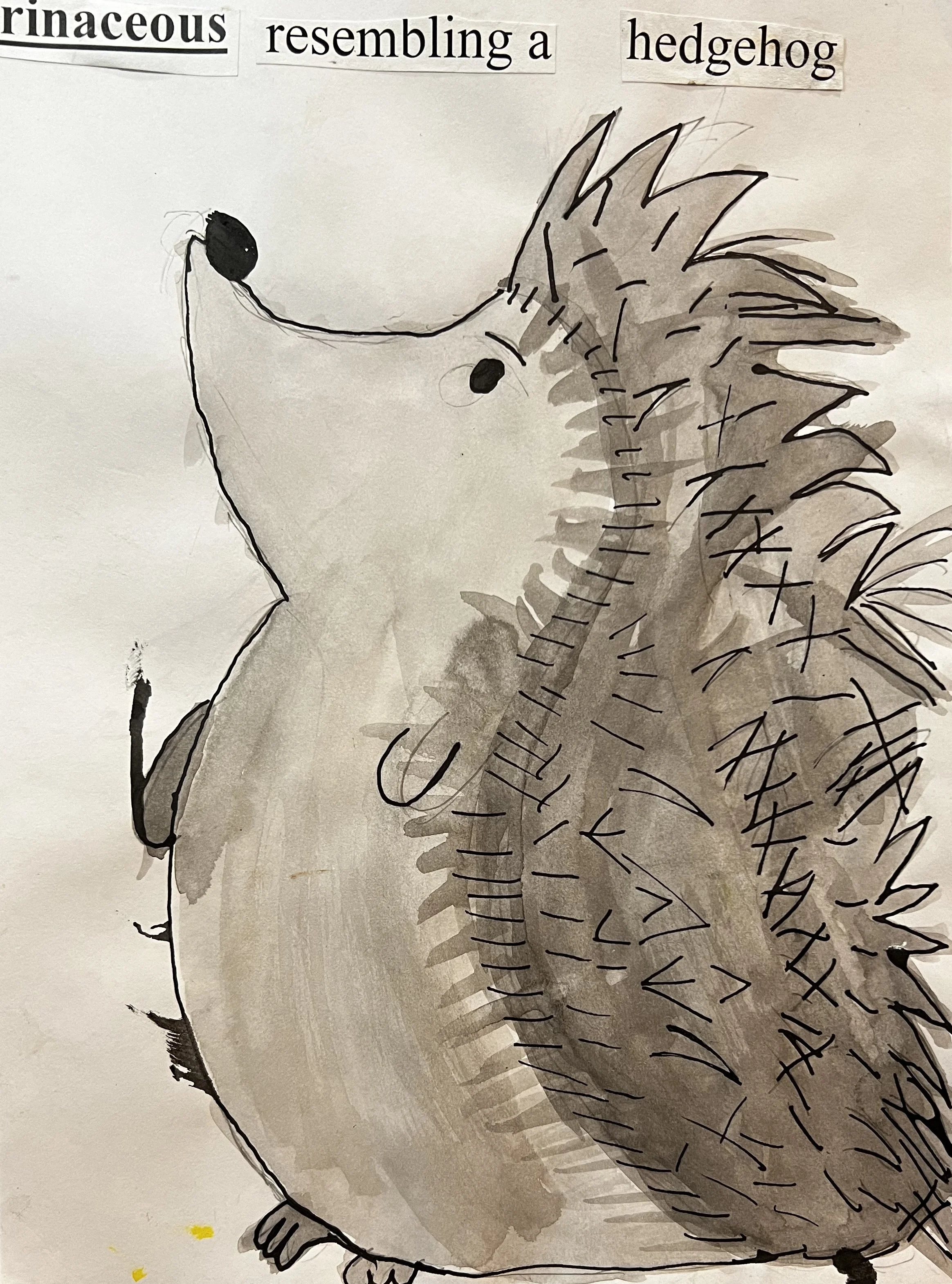 A drawing of a hedgehog