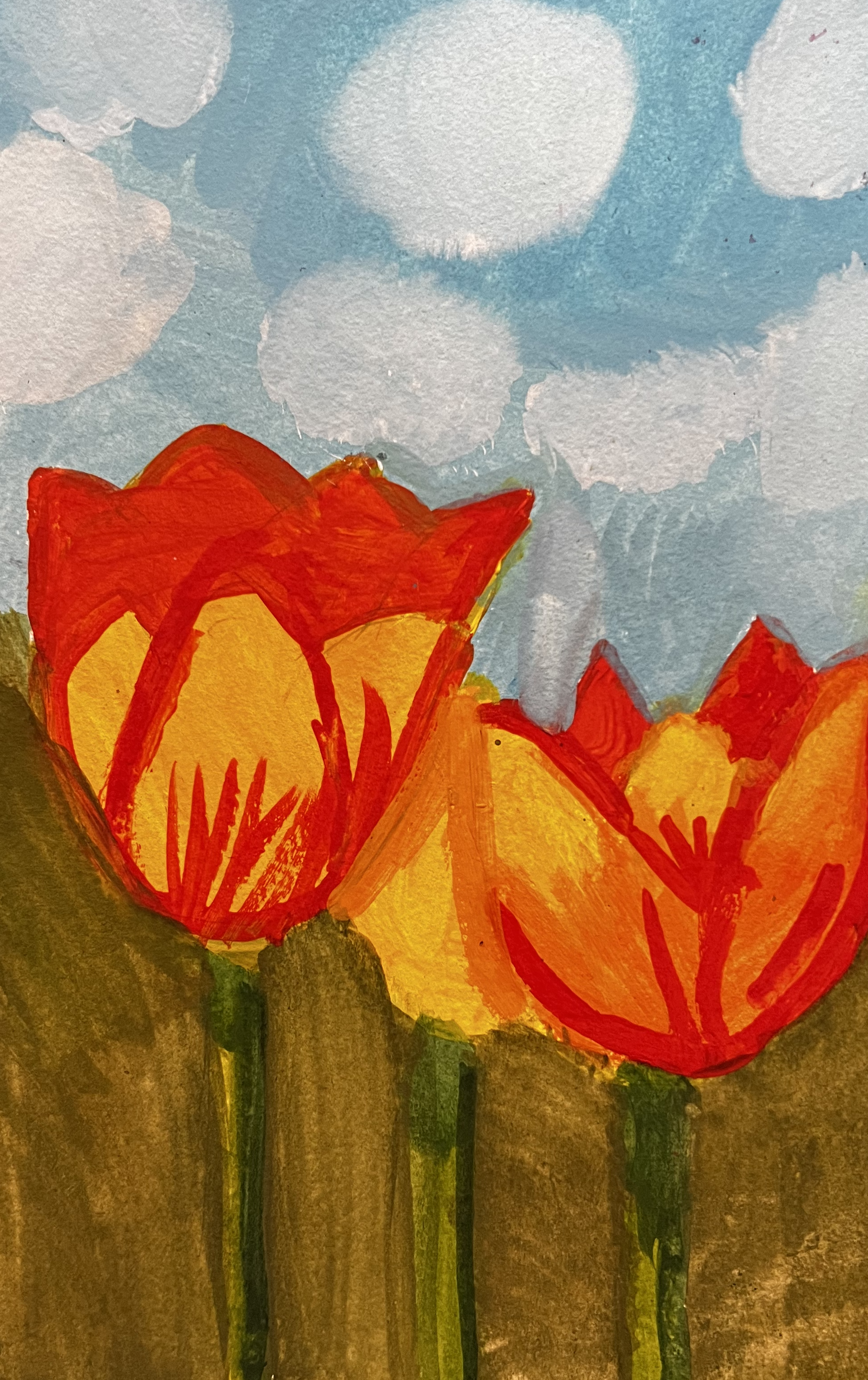 Bright red and oragne tulips