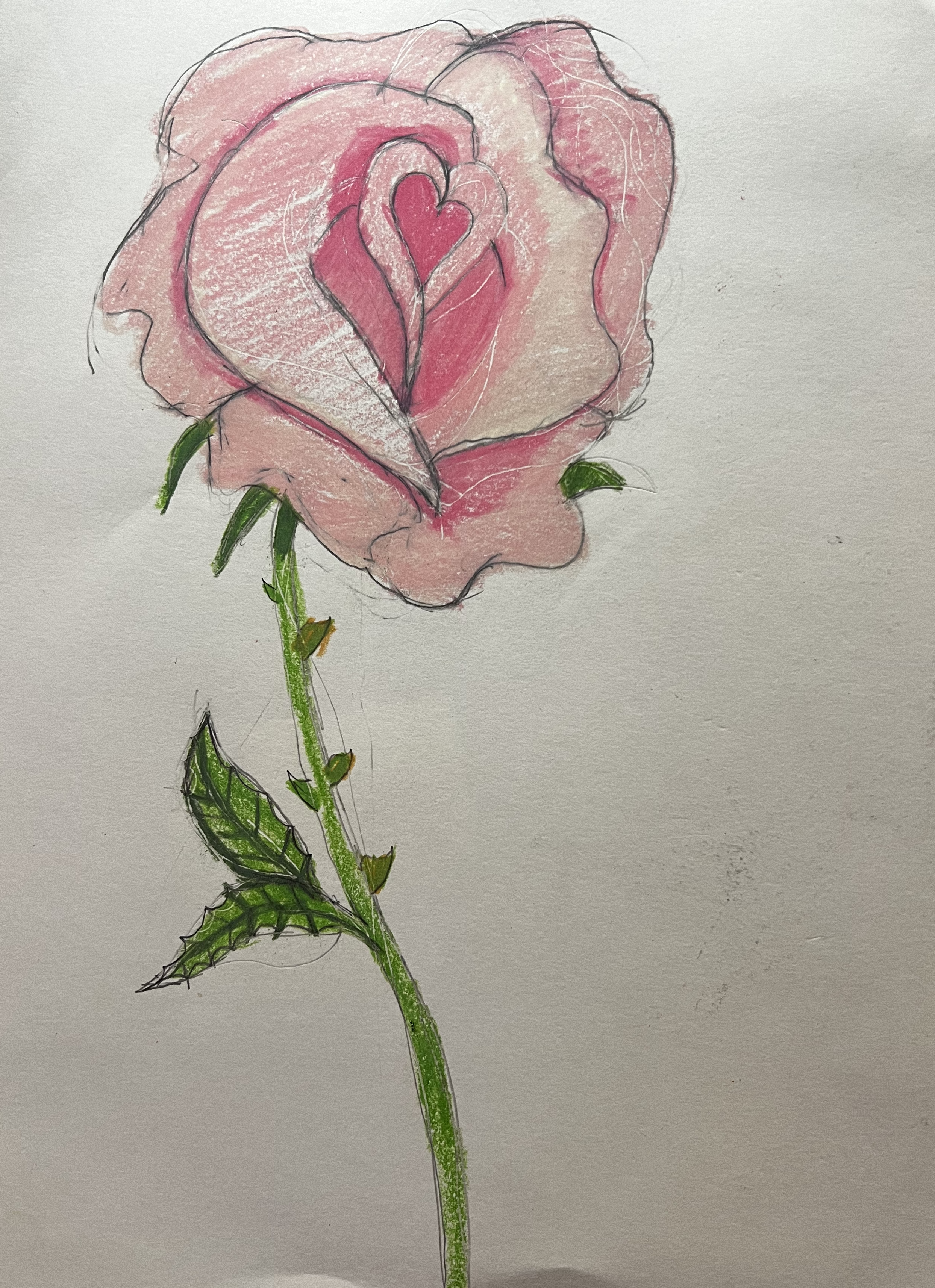 Pink Rose