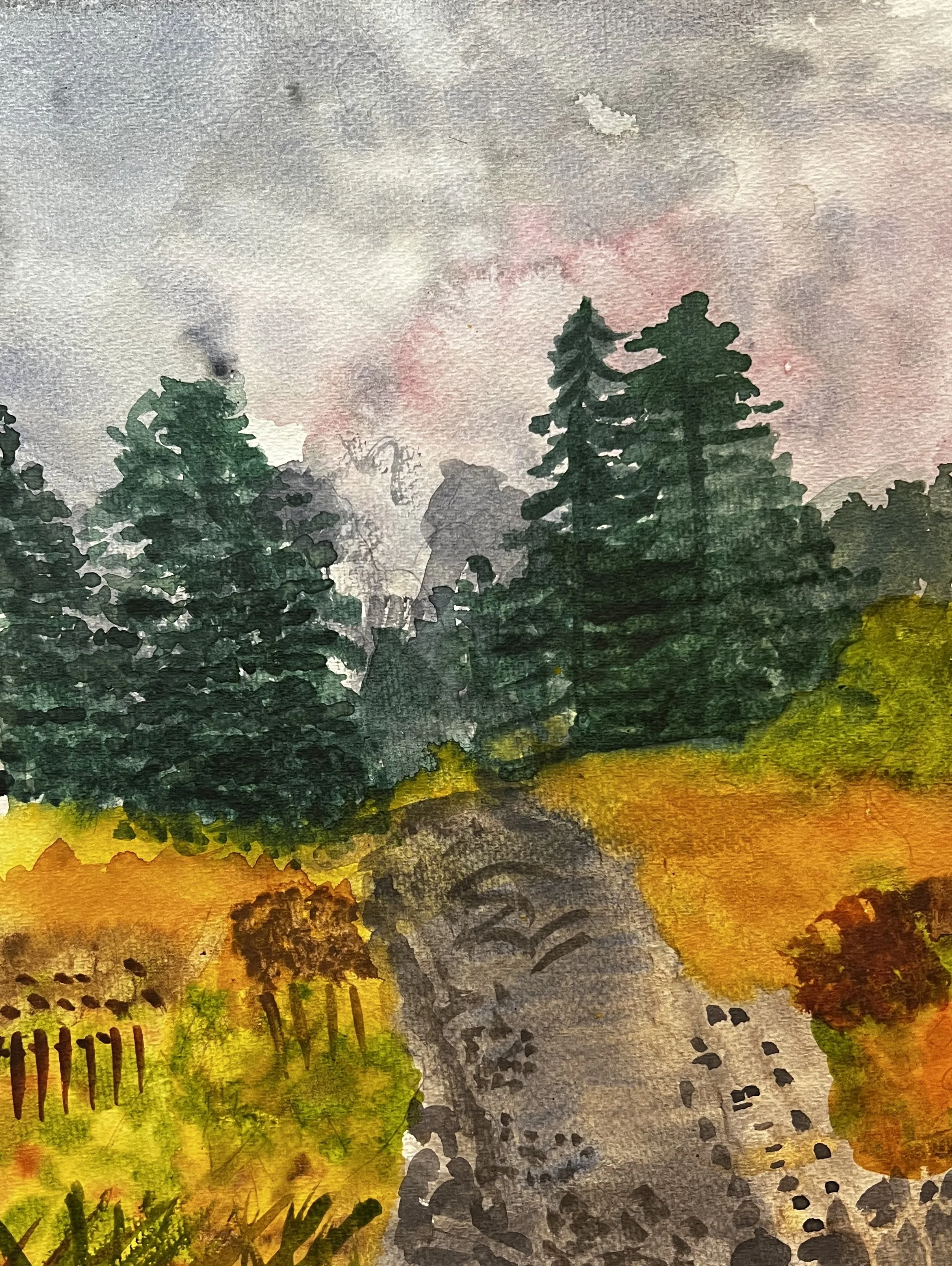 Pine trees and meadow
