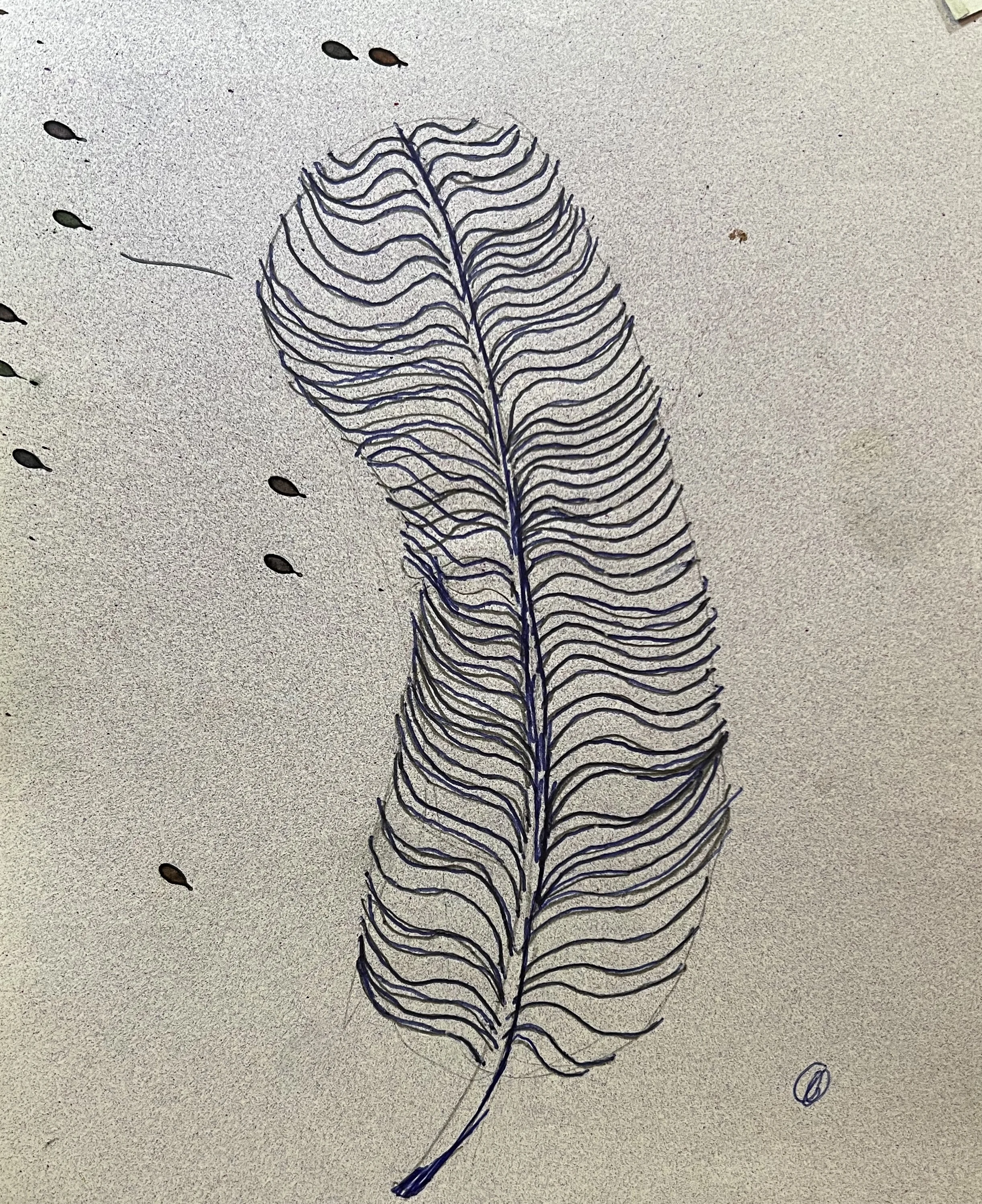Intricate drawing of a feather
