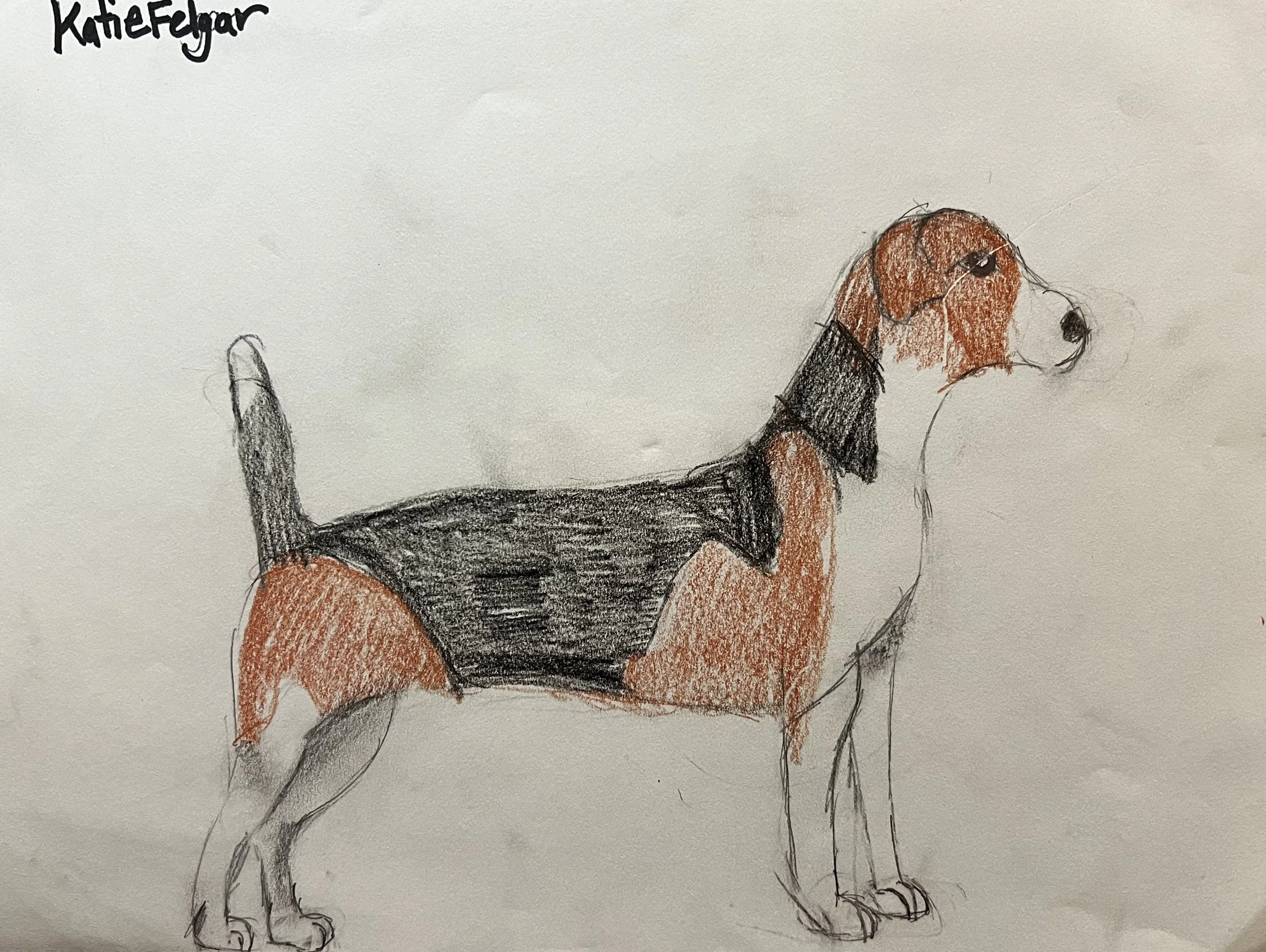 Drawing of a dog