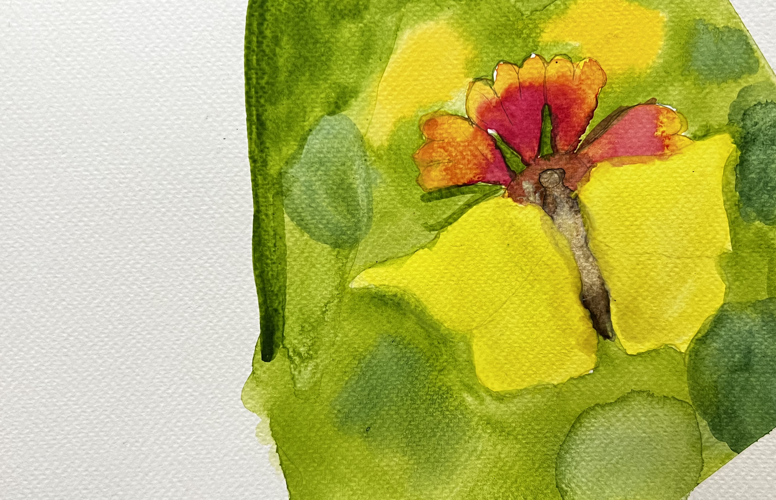 Butterfly on a flower