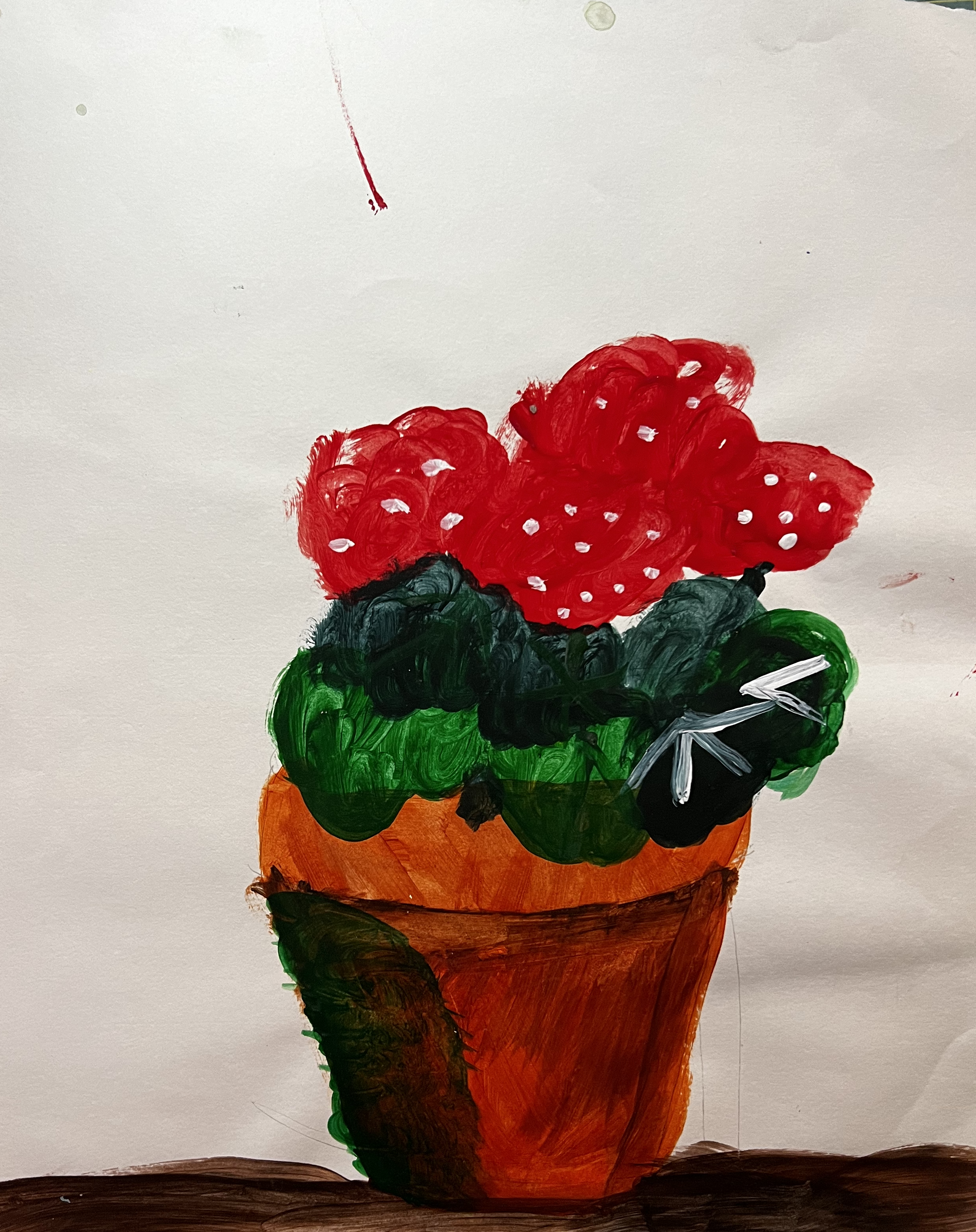 Geraniums in a flowerpot