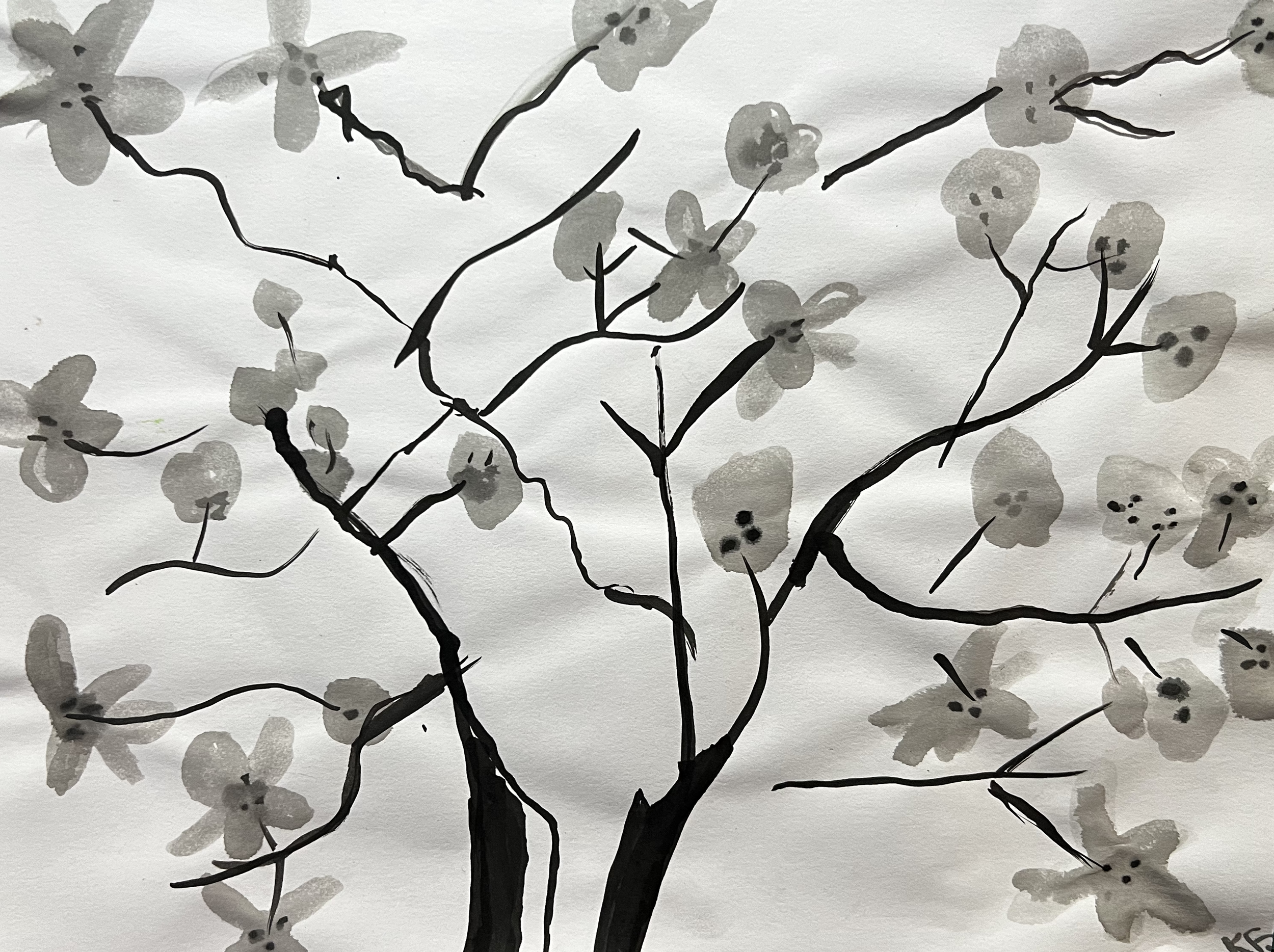 Black and while cherry branch with flowers