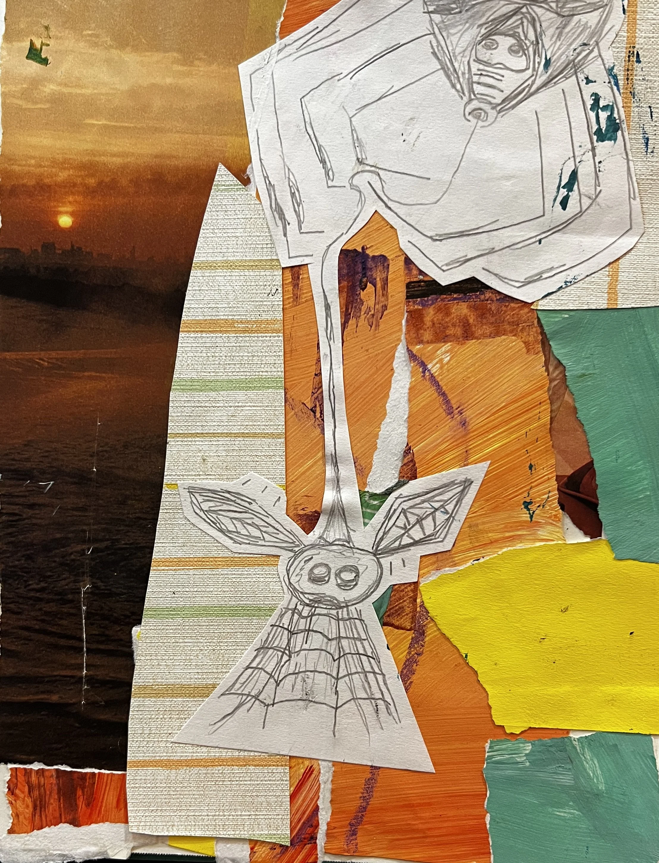 Collage of a spider catching a fly