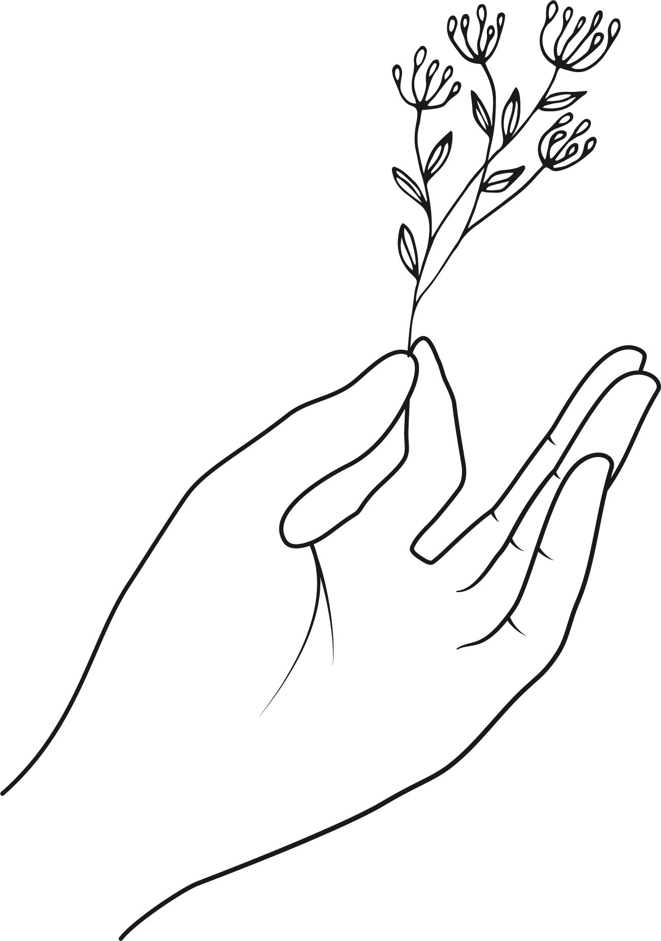 Linienzeichnung einer Hand, die eine kleine Pflanze mit mehreren Blättern hält.