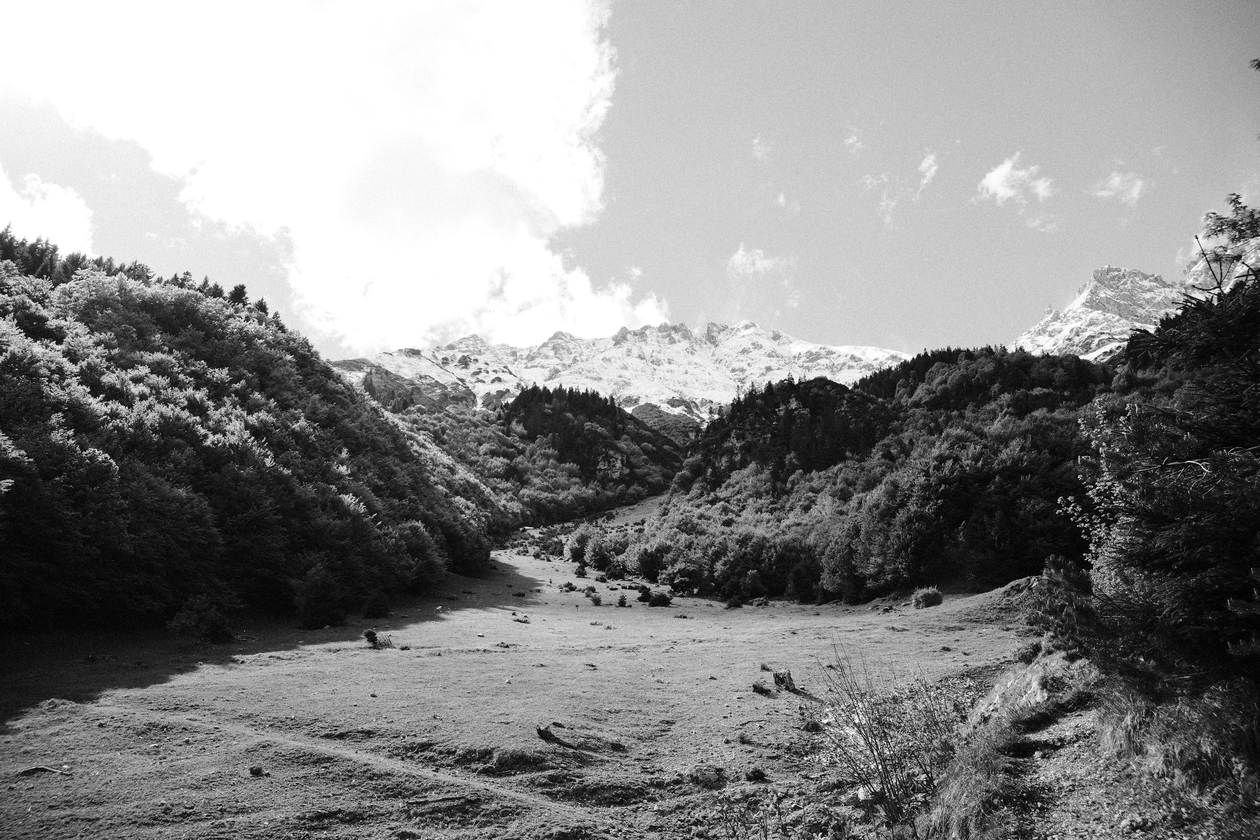 _DSF2494.jpg