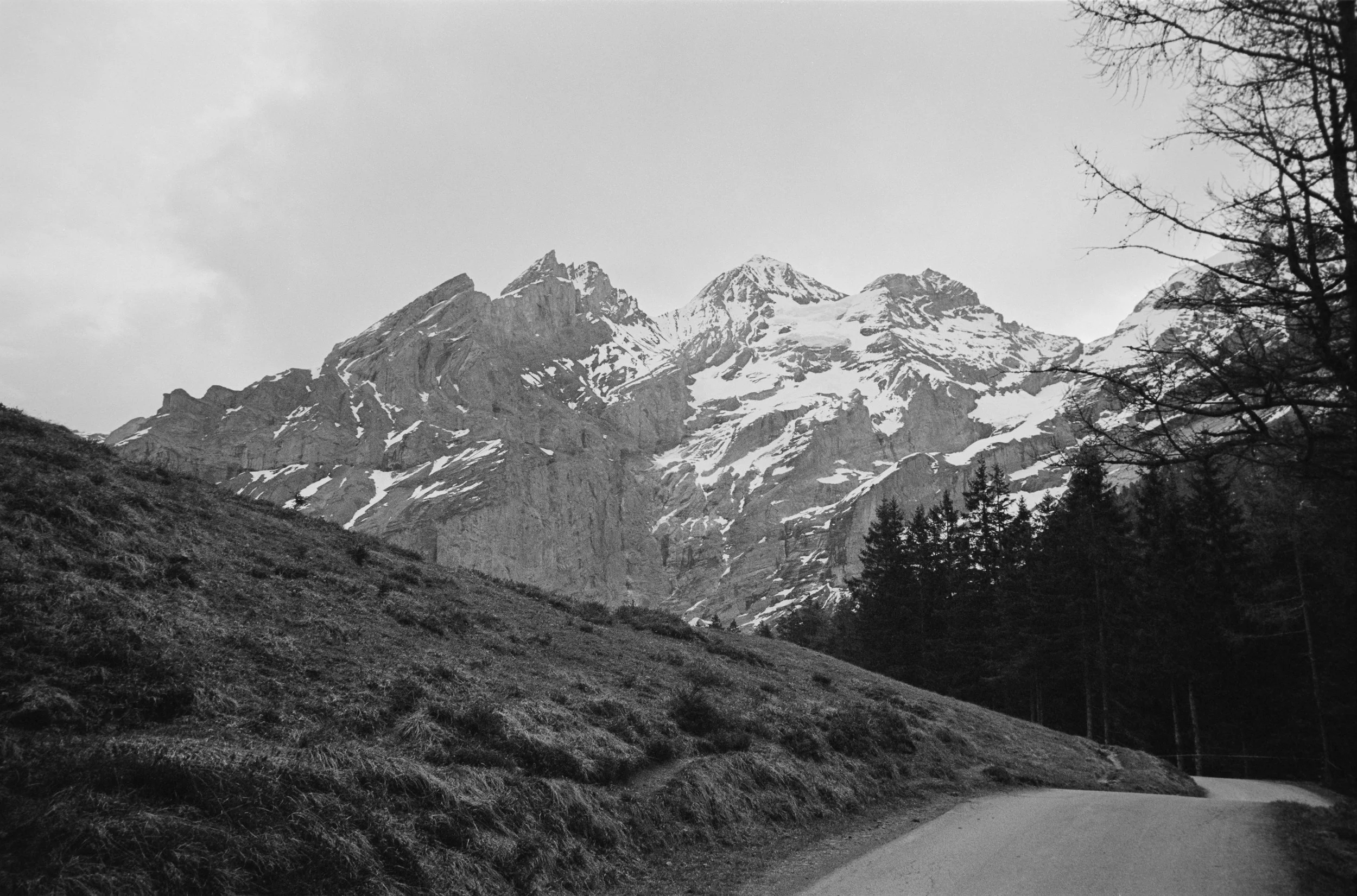 euroscan-495-positive.jpg