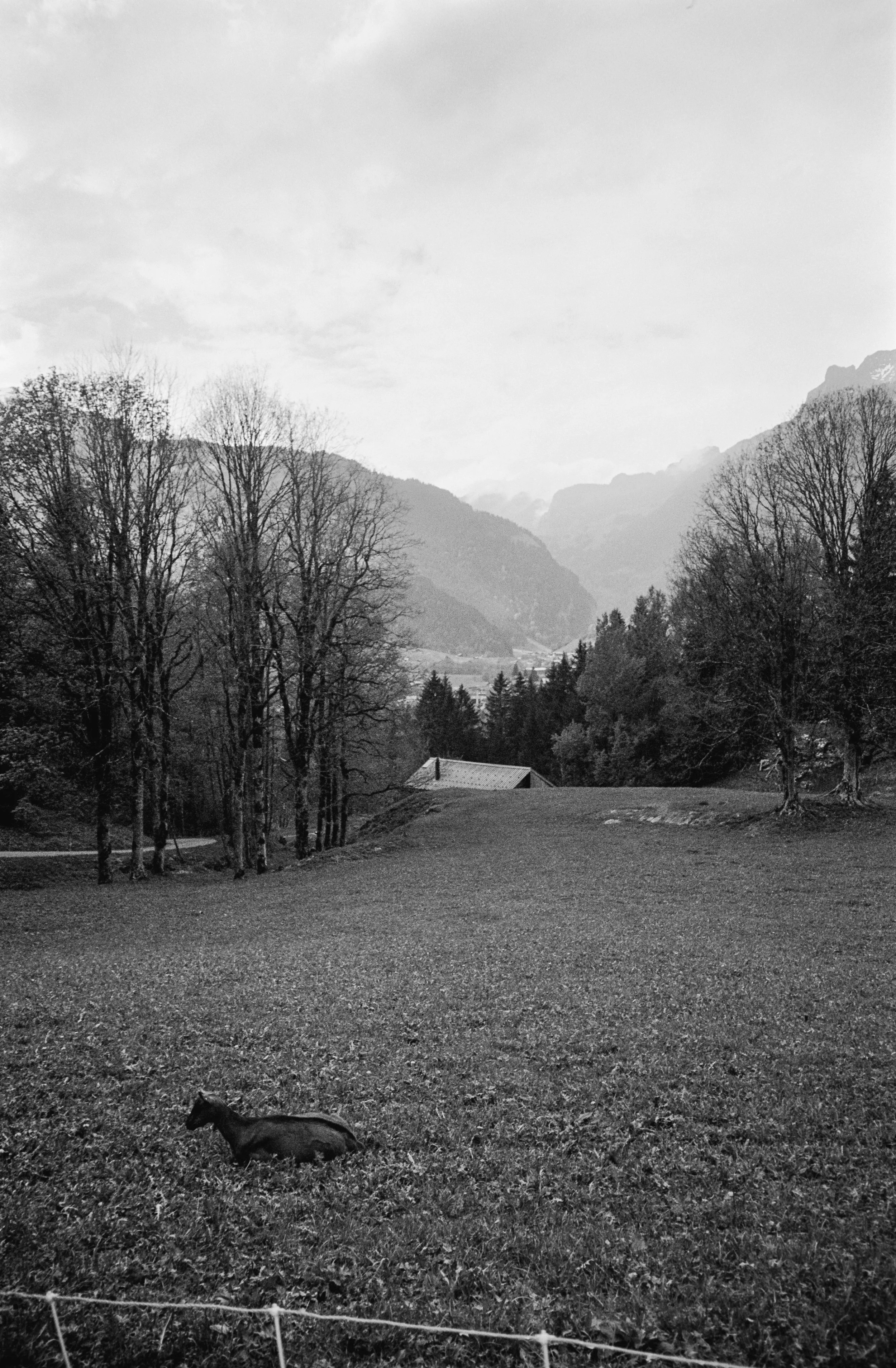 euroscan-419-positive.jpg