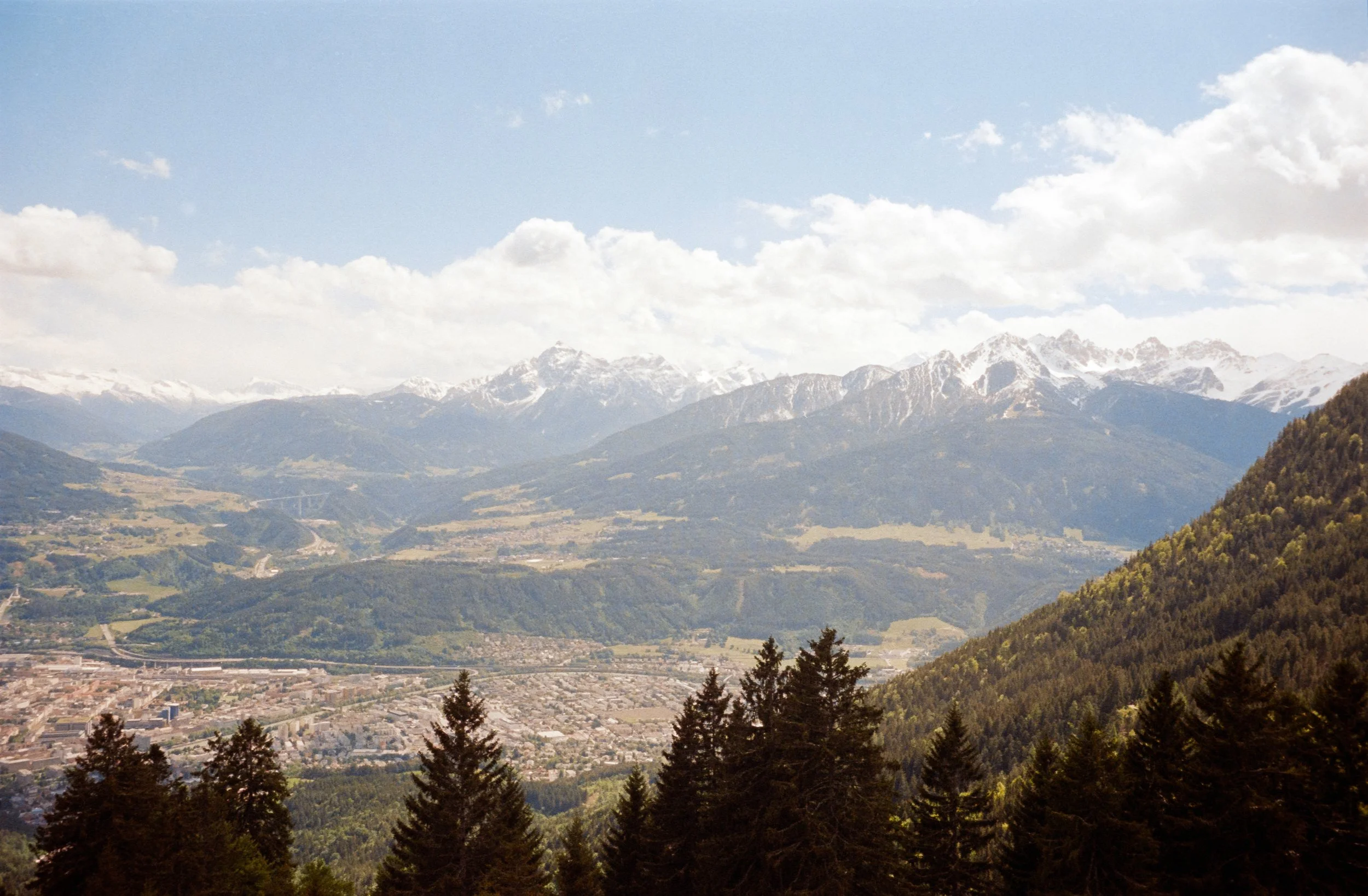 euroscan-246-positive.jpg