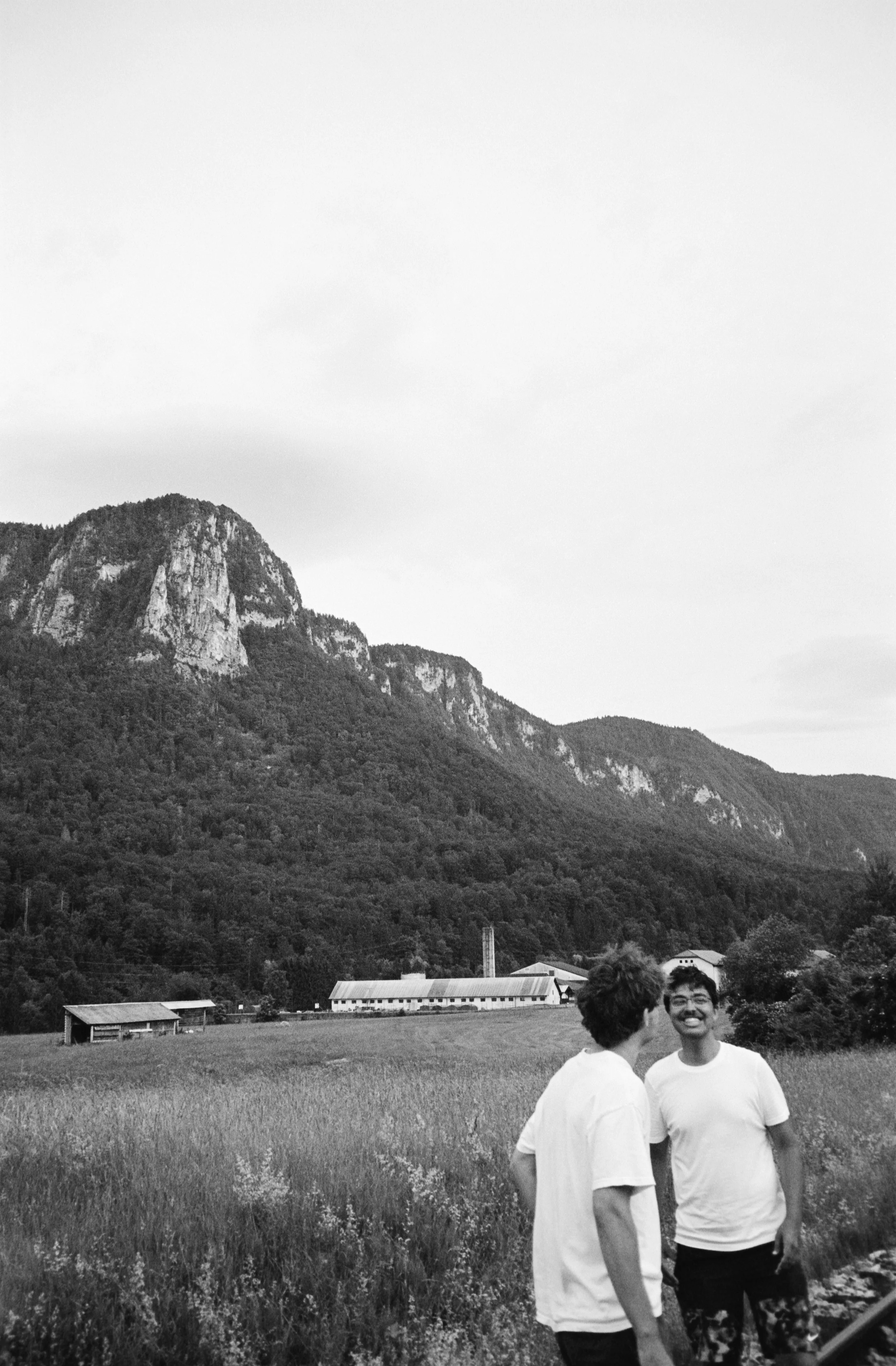 euroscan-388-positive.jpg