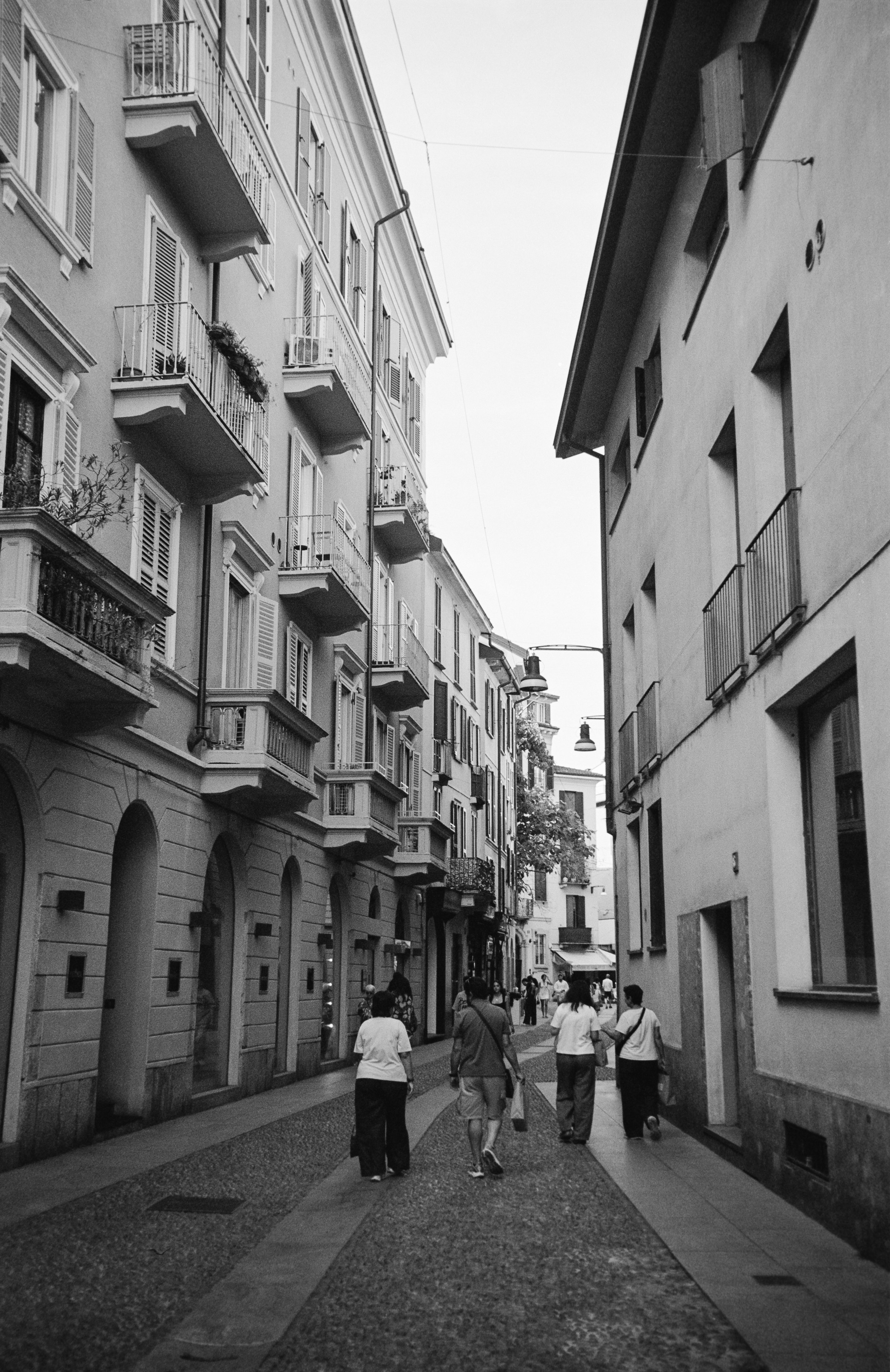 euroscan-376-positive.jpg