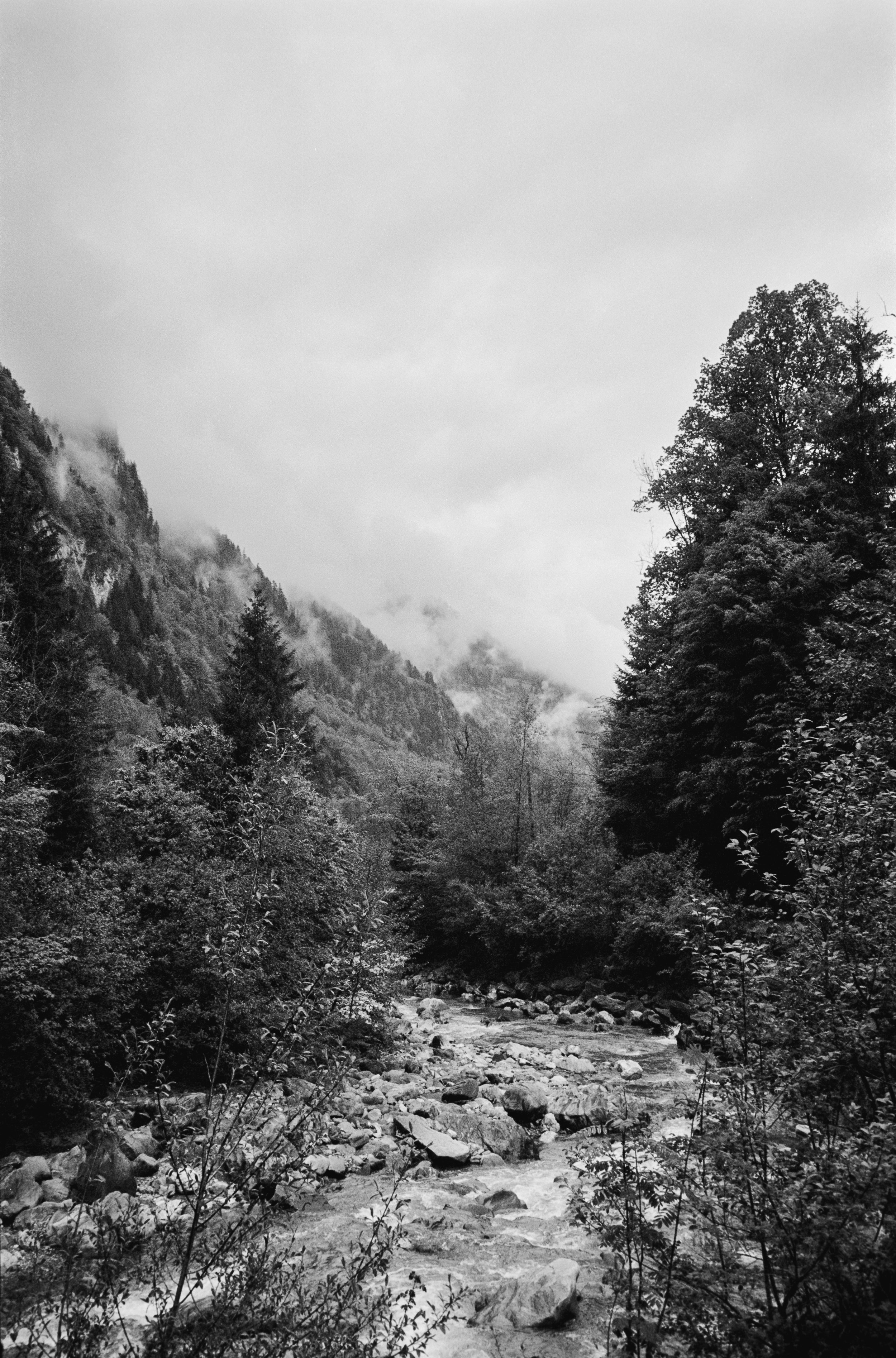 euroscan-435-positive.jpg