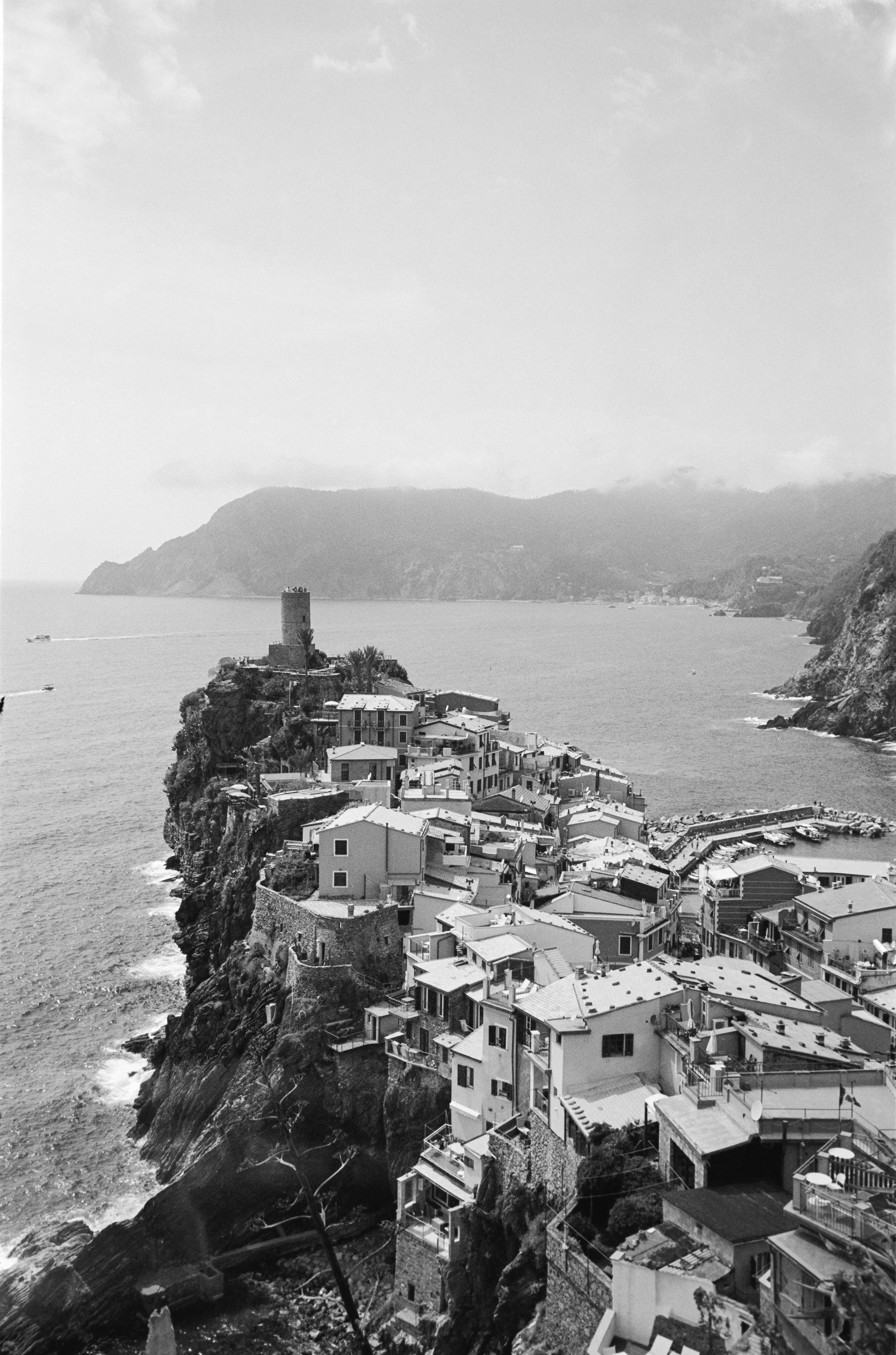 euroscan-363-positive.jpg