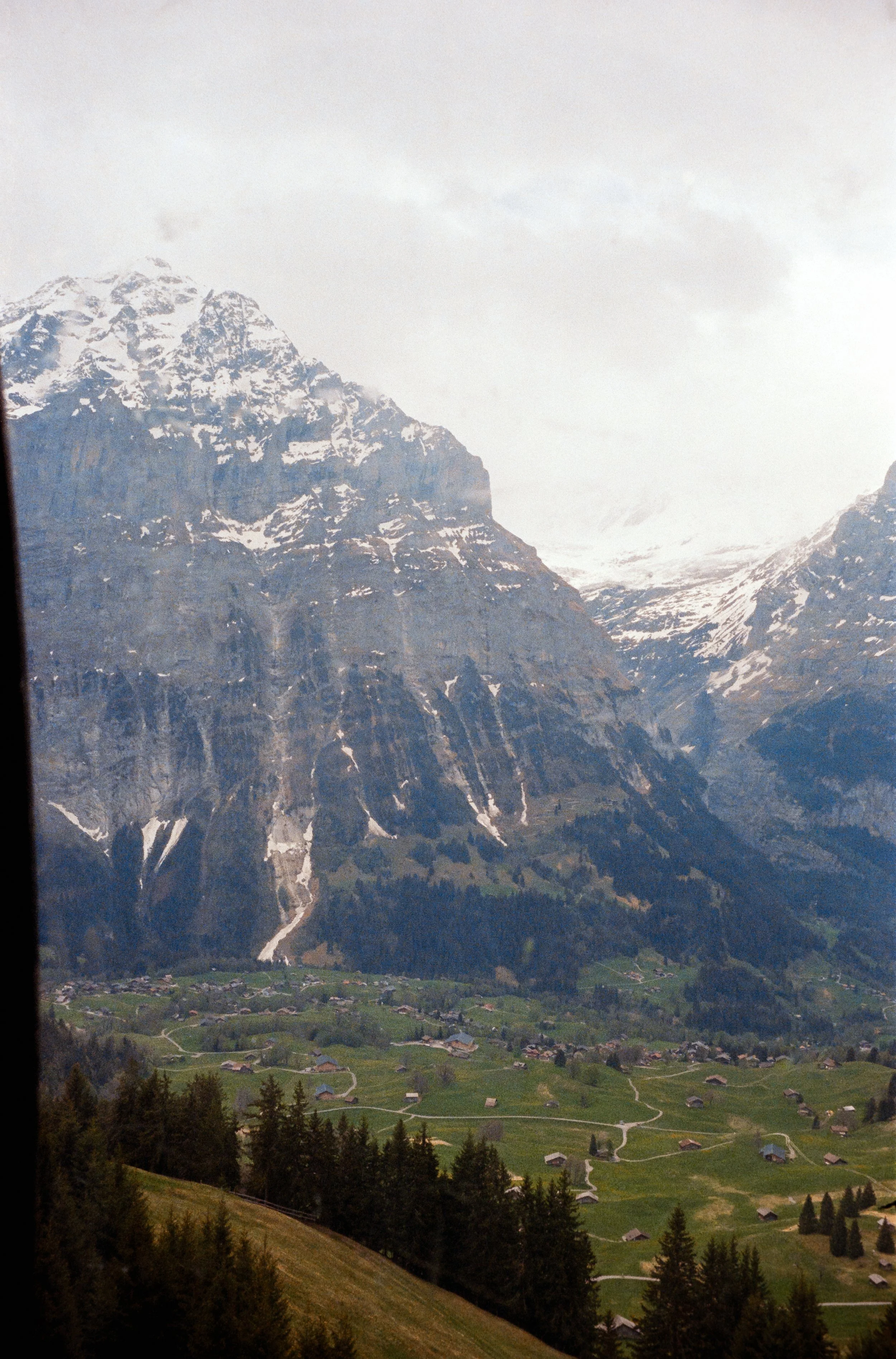 euroscan-212-positive.jpg