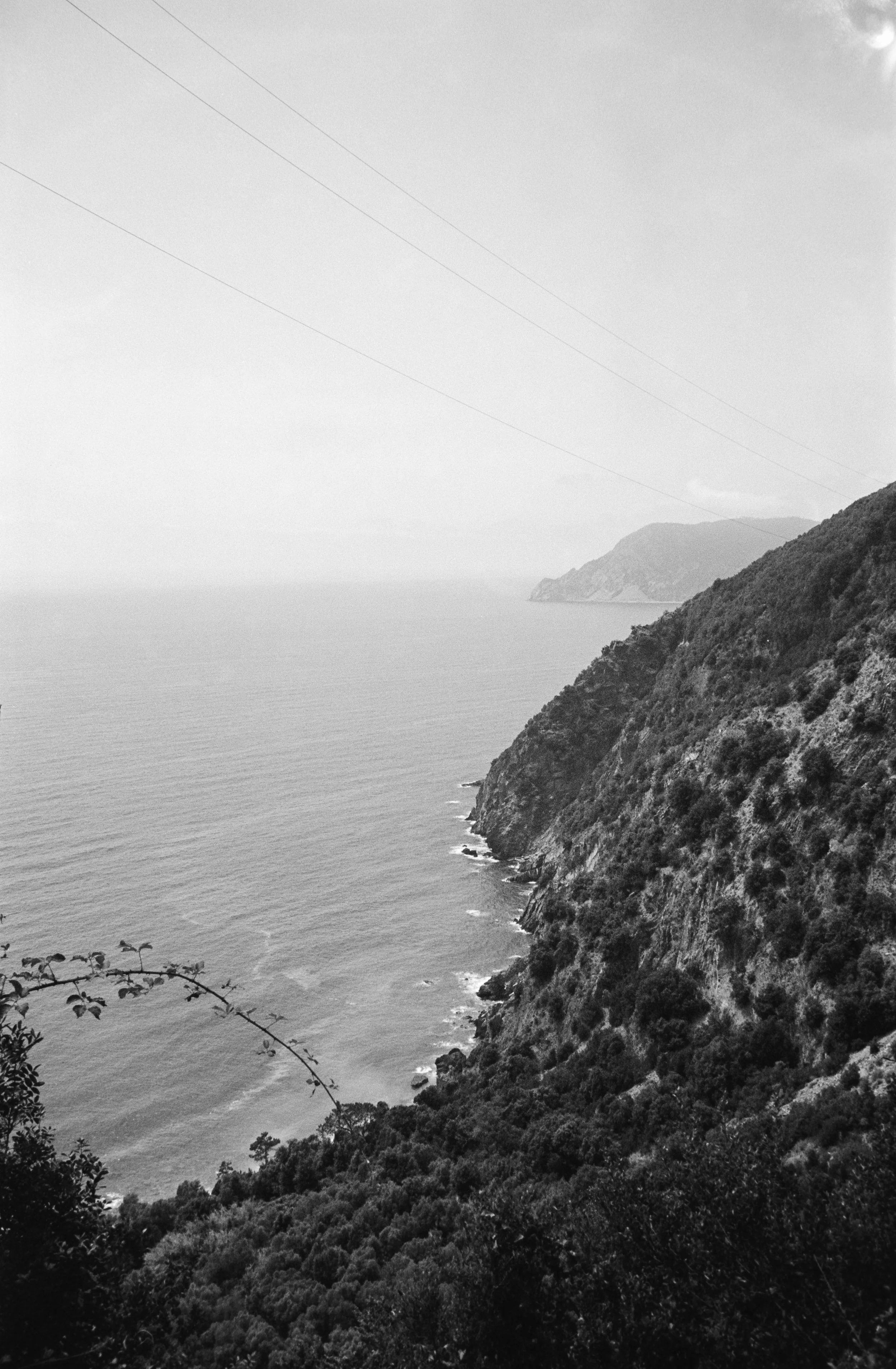 euroscan-357-positive.jpg
