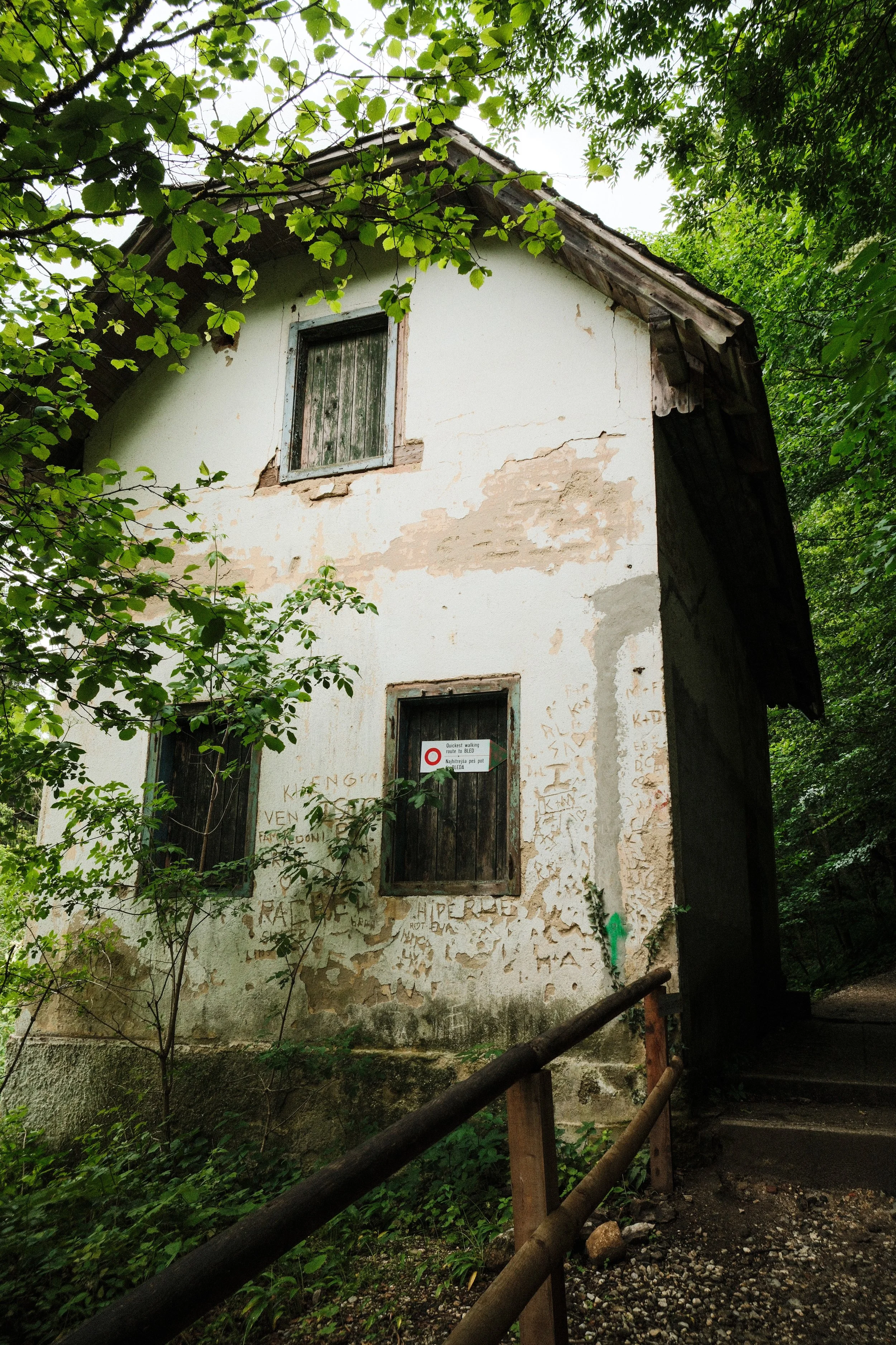 _DSF1174.jpg