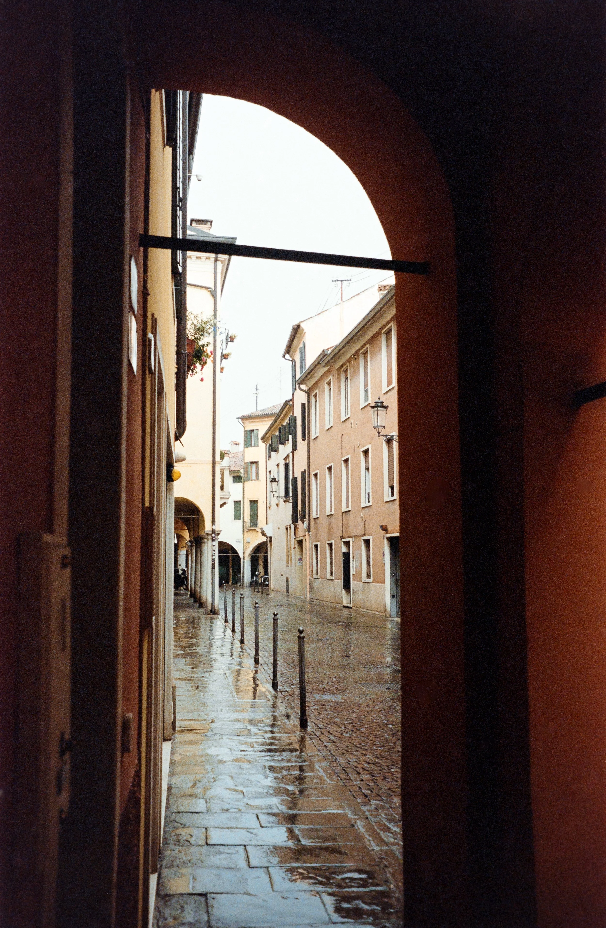euroscan-258-positive.jpg