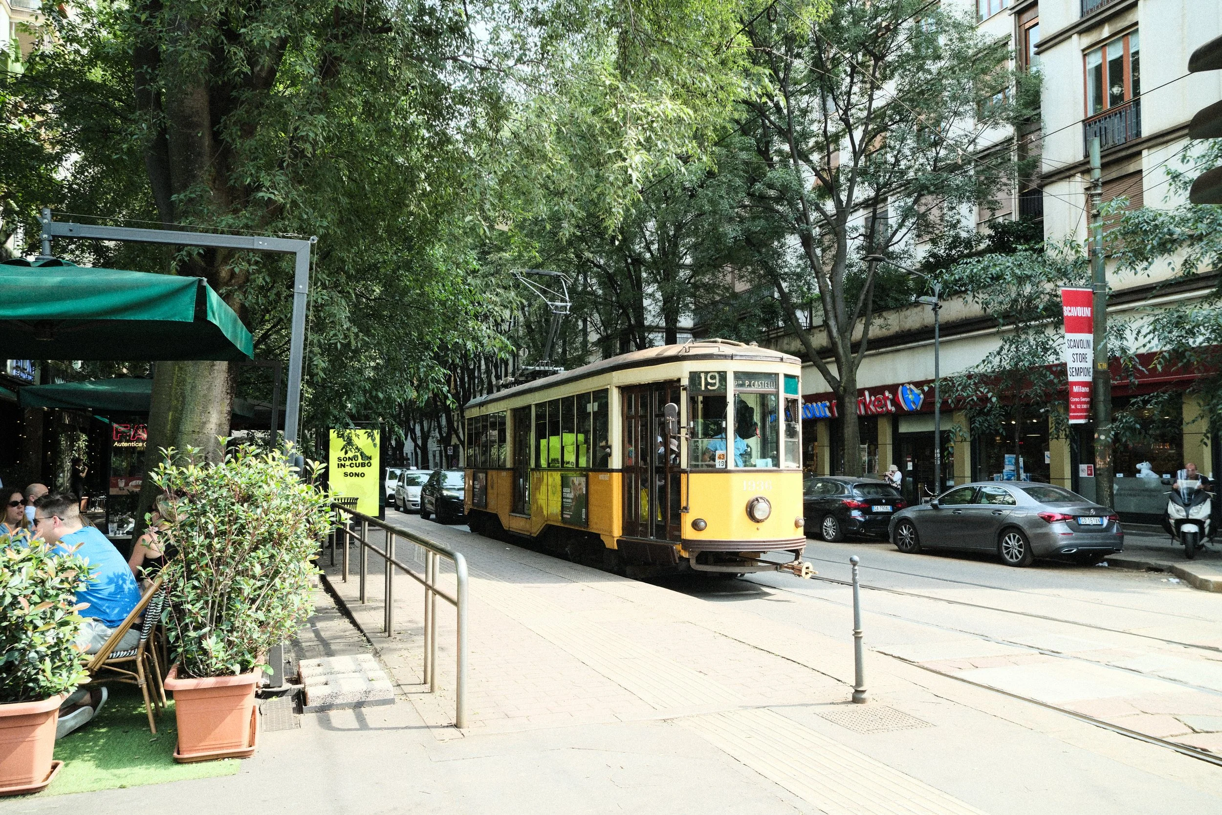 _DSF0760.jpg