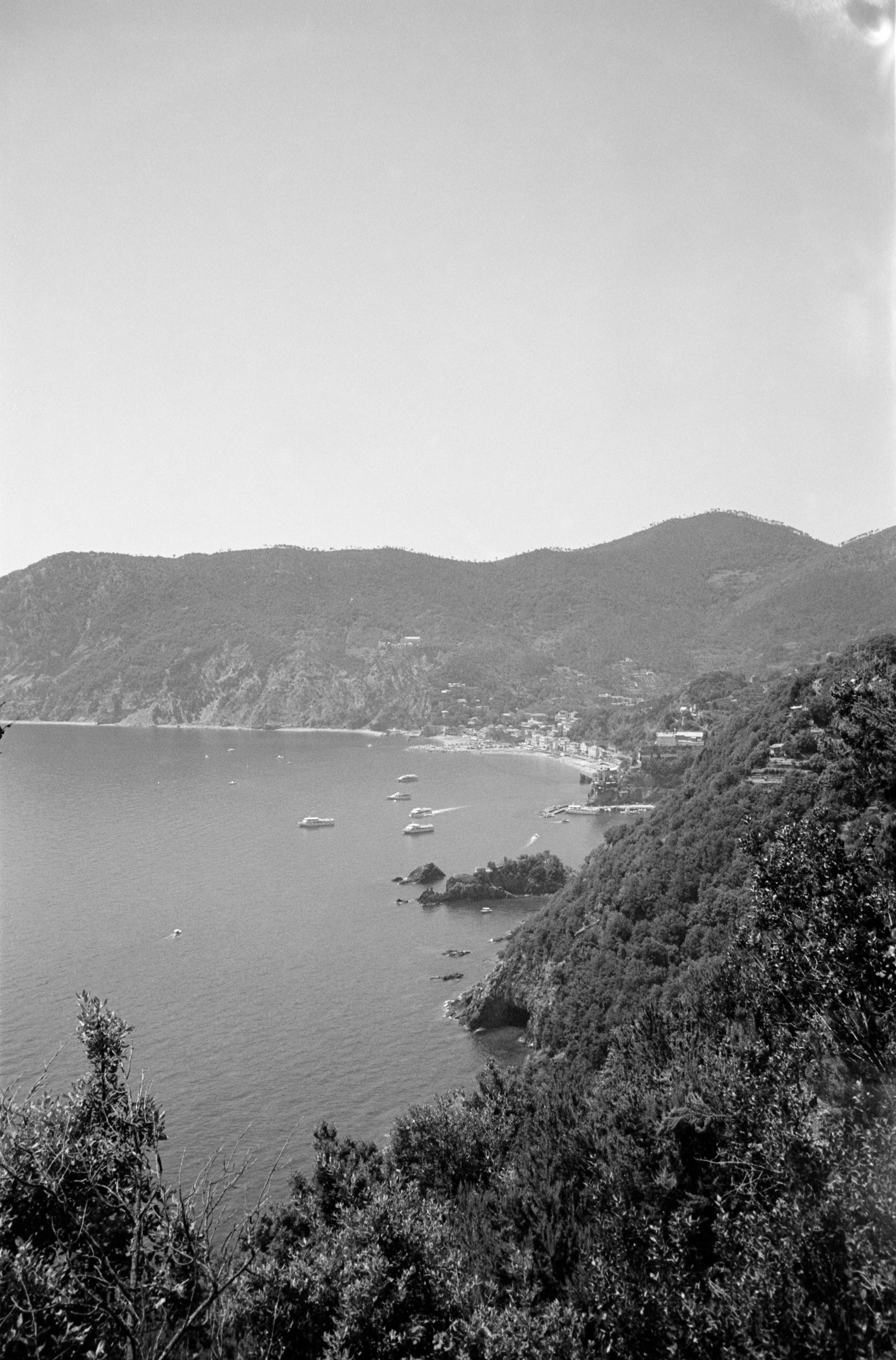 euroscan-351-positive.jpg