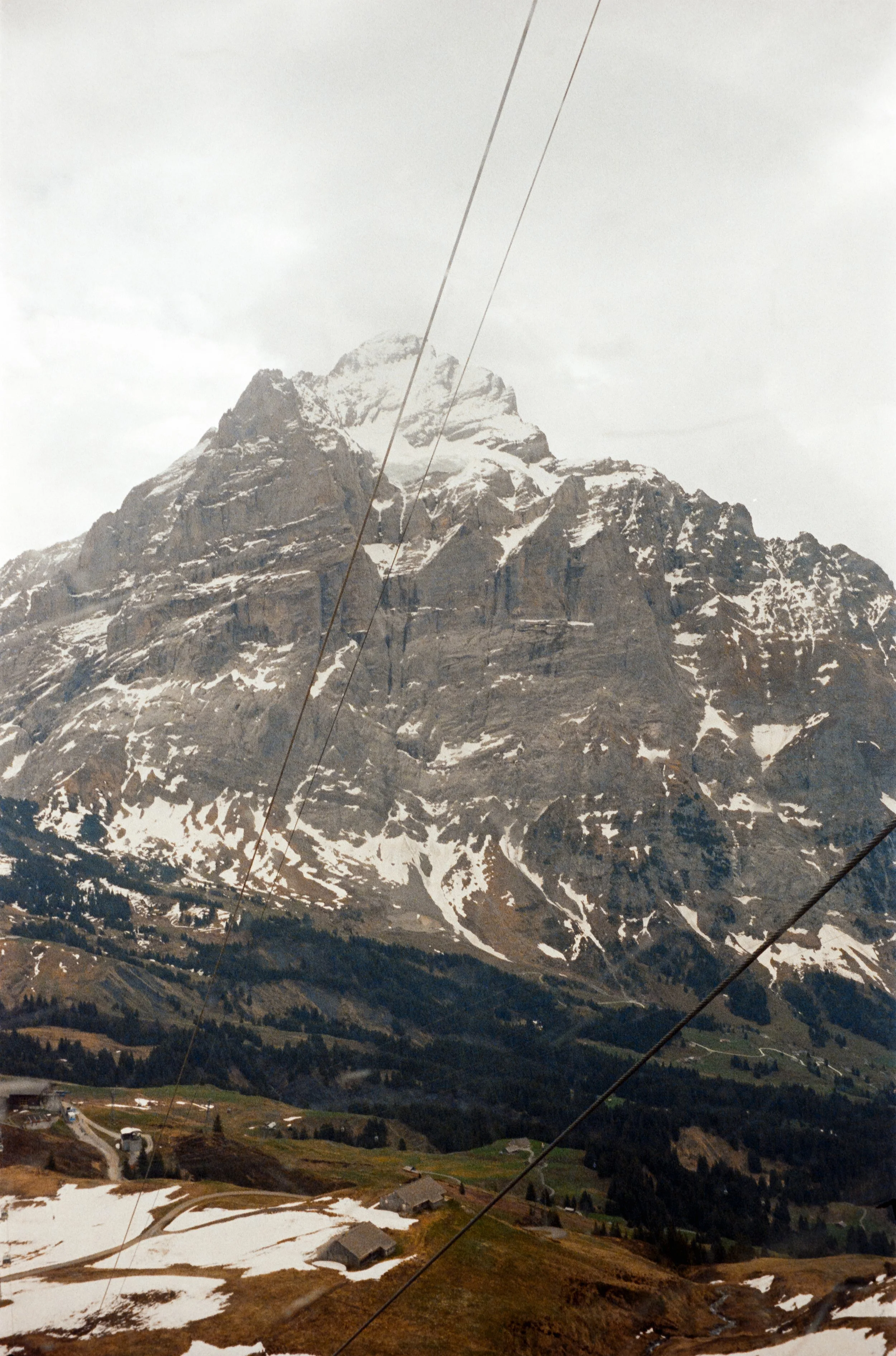 euroscan-214-positive.jpg