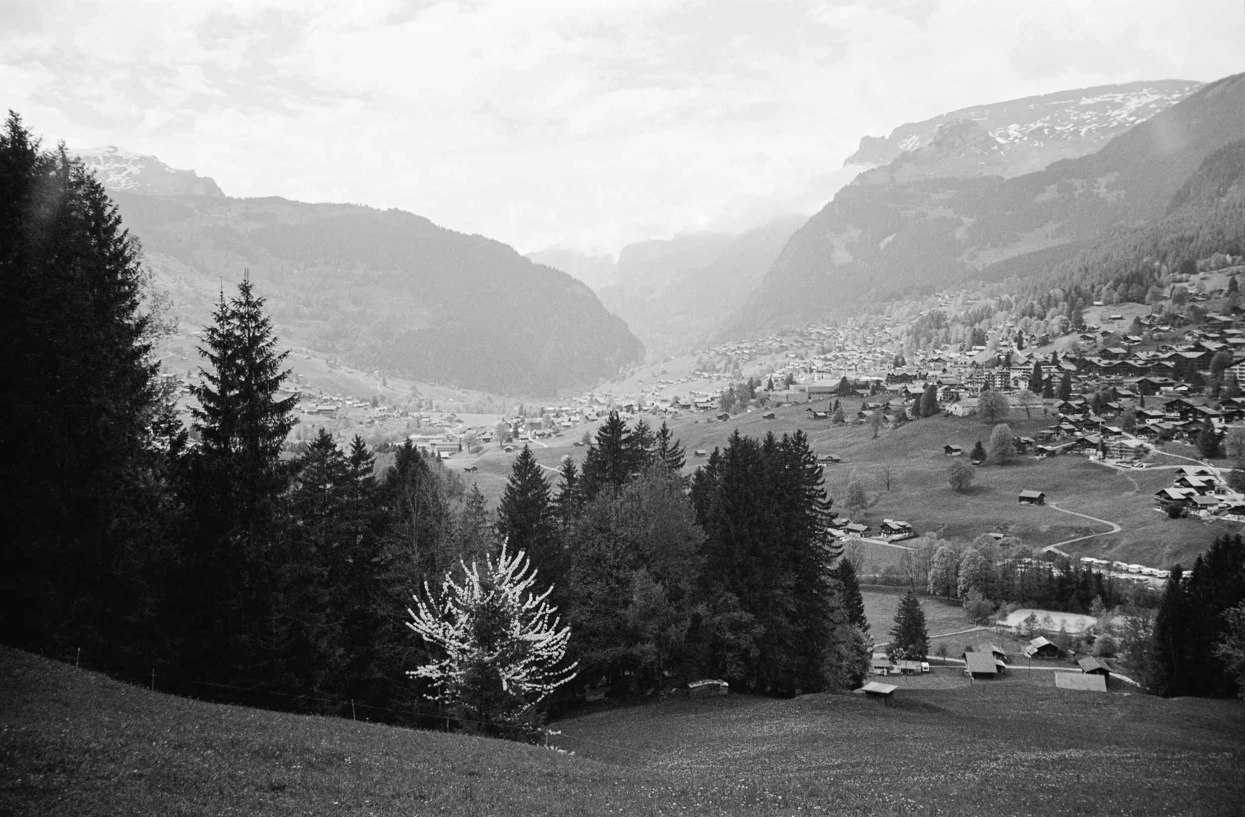 euroscan-425-positive.jpg