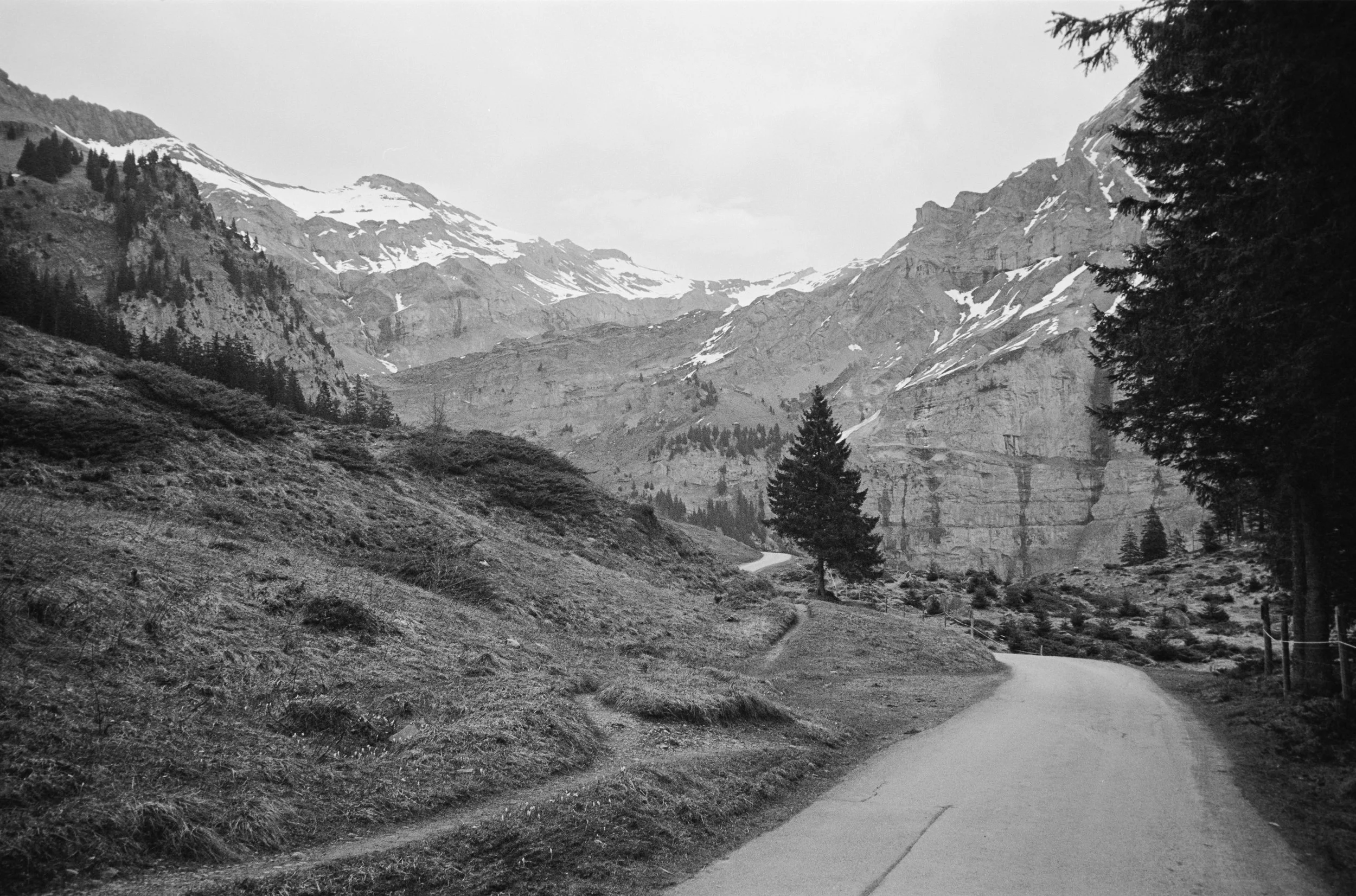 euroscan-496-positive.jpg