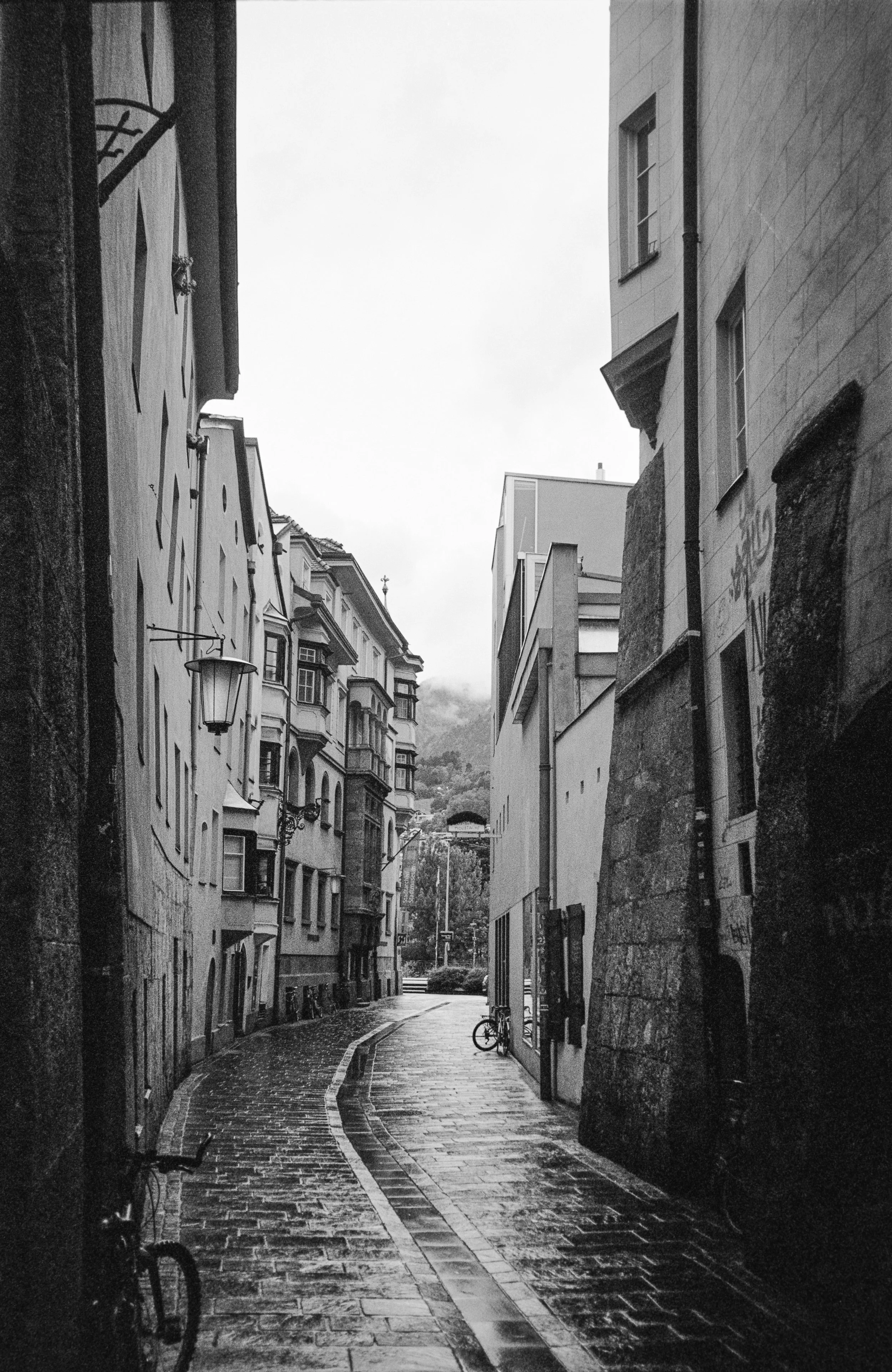 euroscan-449-positive.jpg