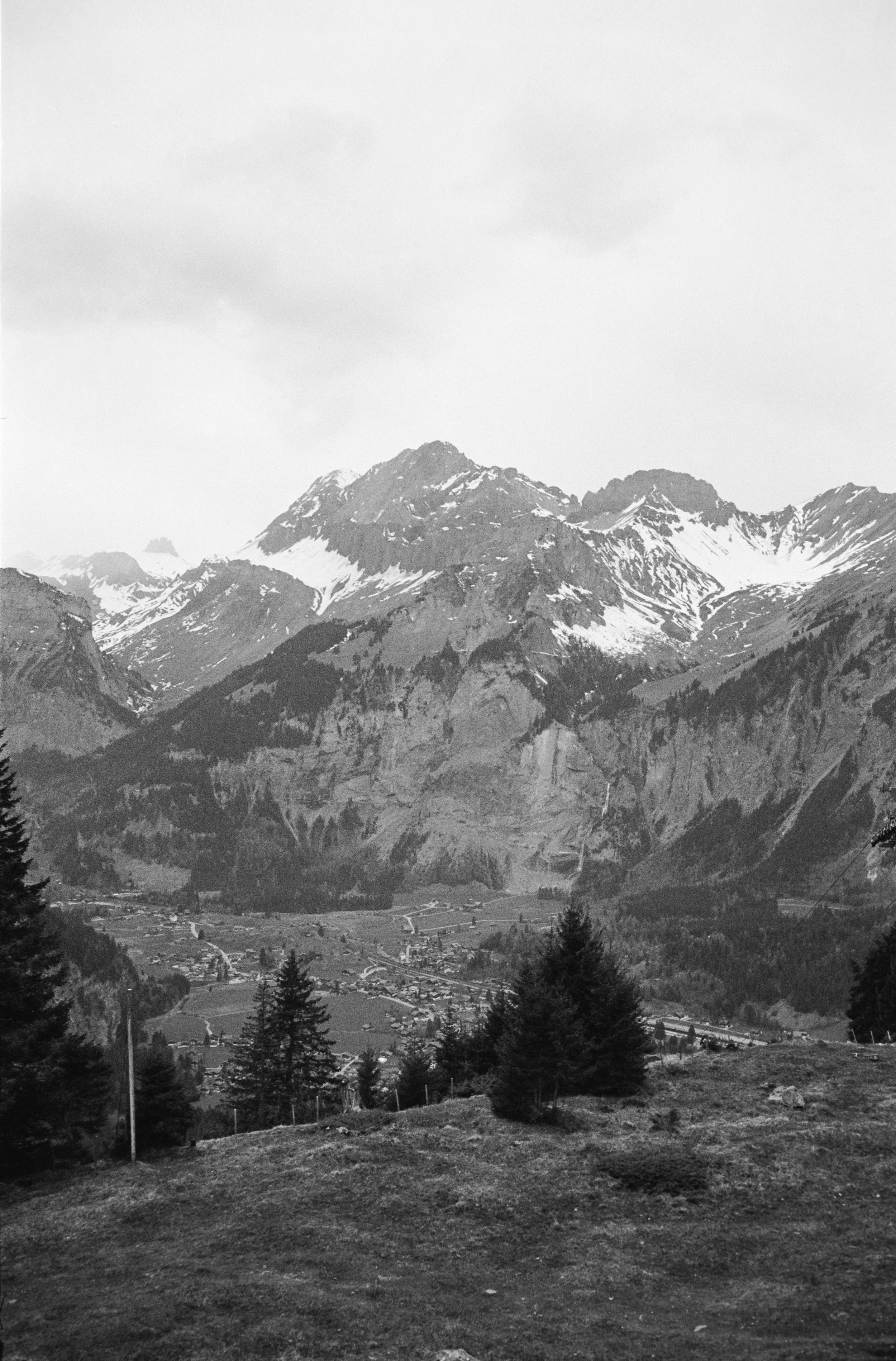 euroscan-521-positive.jpg