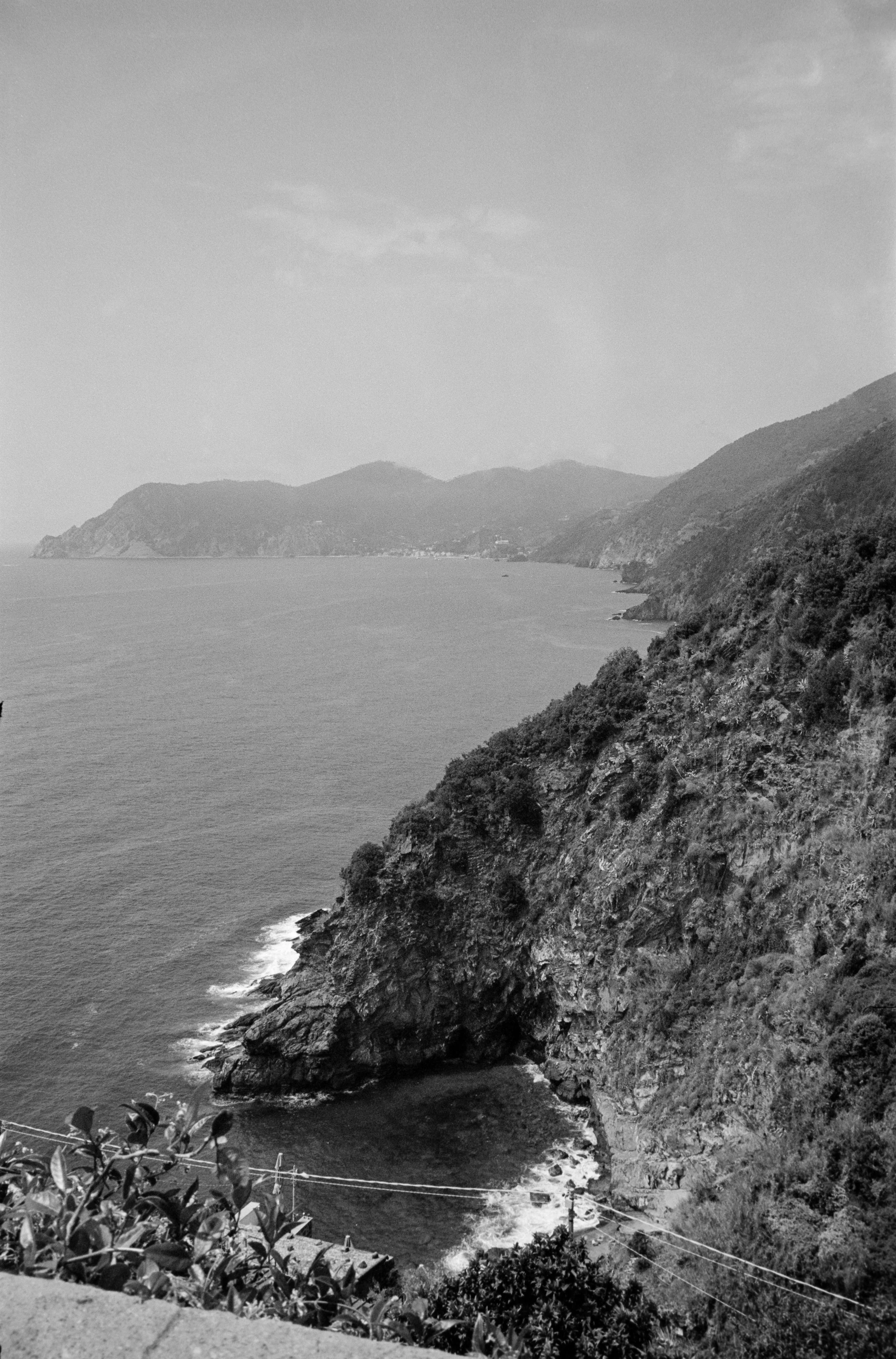 euroscan-354-positive.jpg