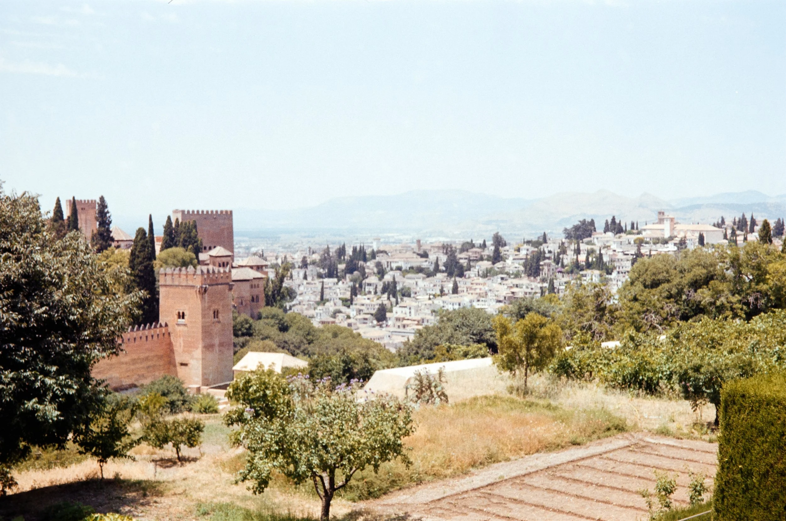 euroscan-34-positive.jpg