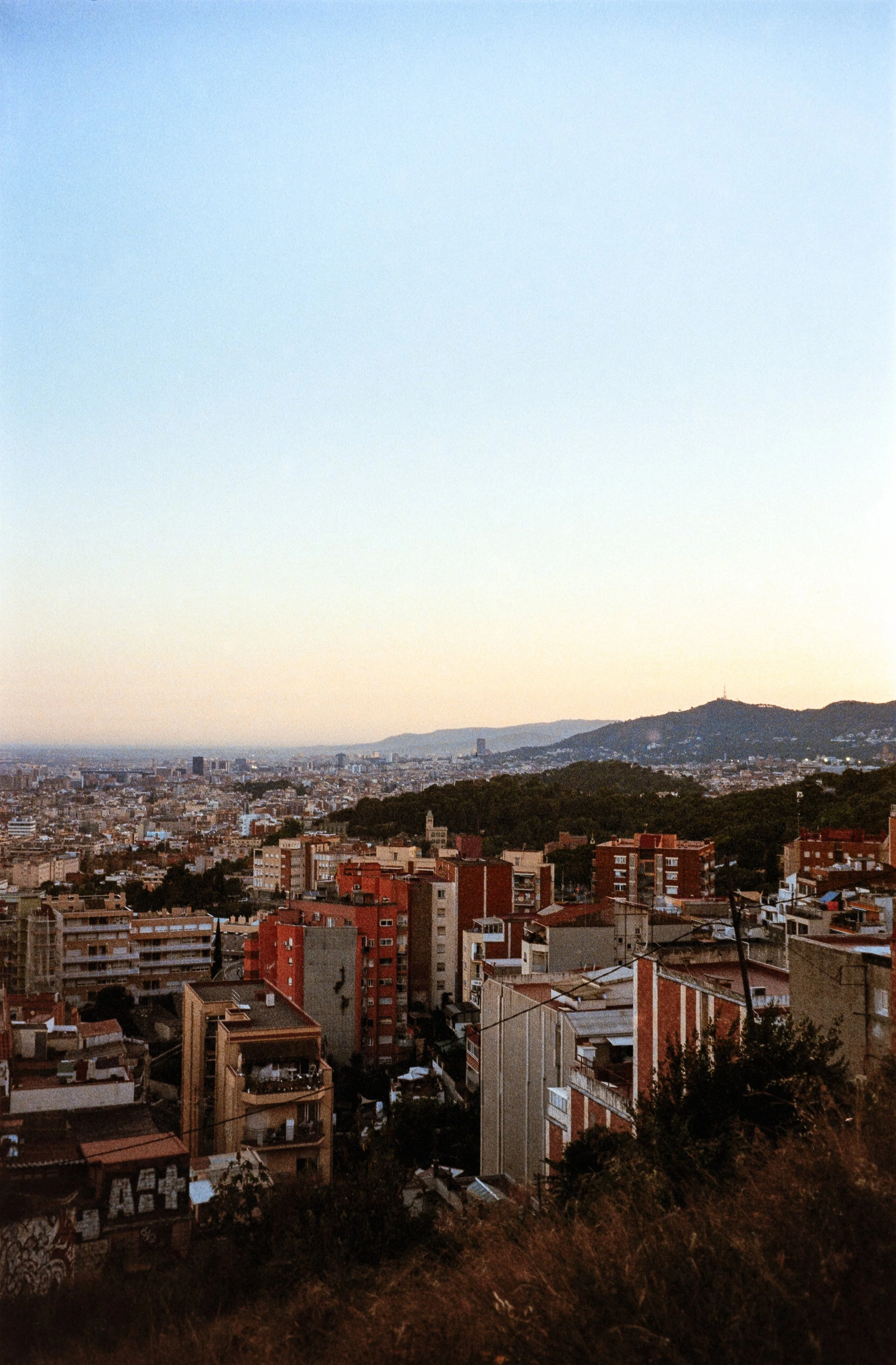 euroscan-104-positive.jpg