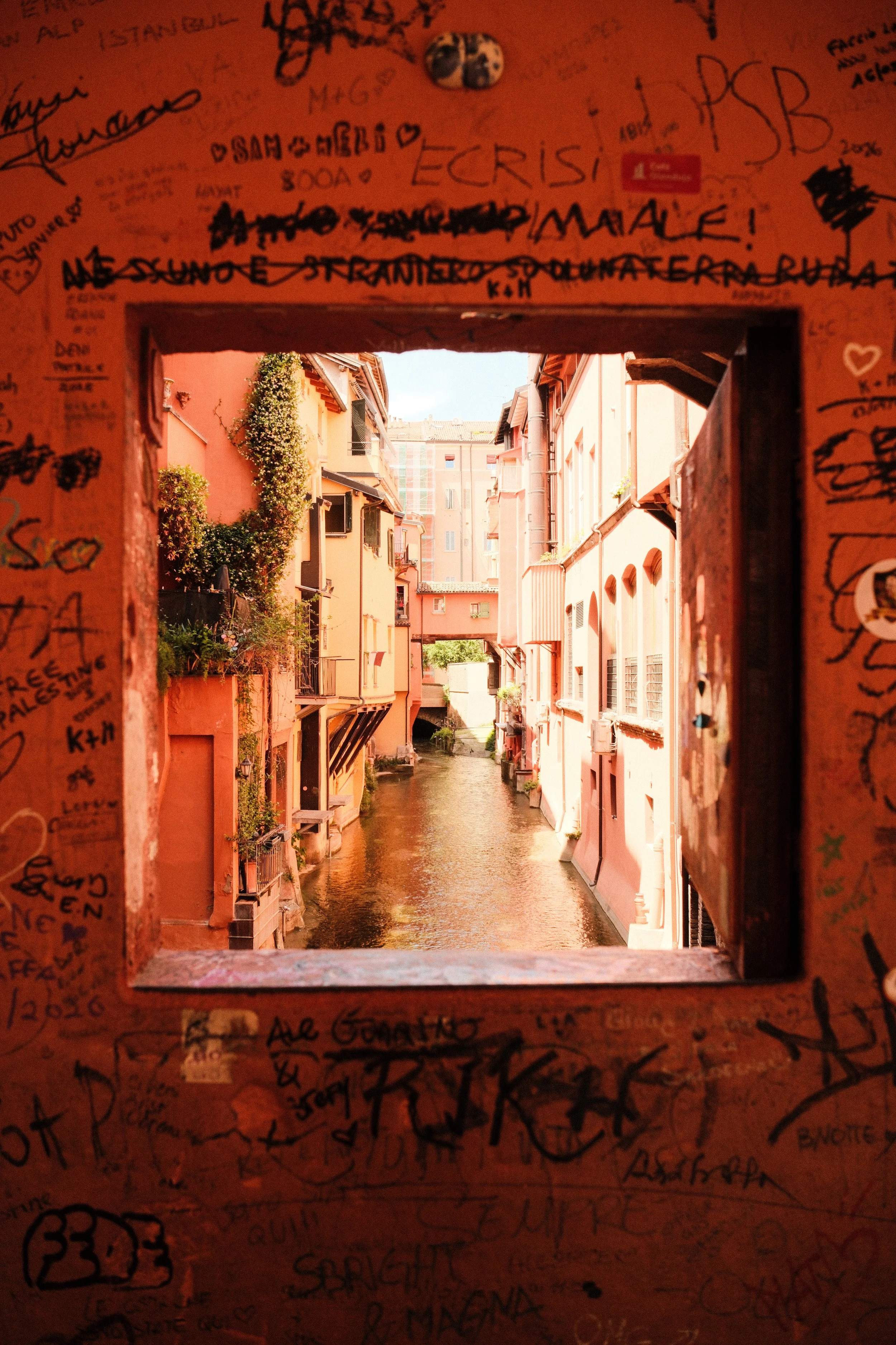 _DSF3004.jpg