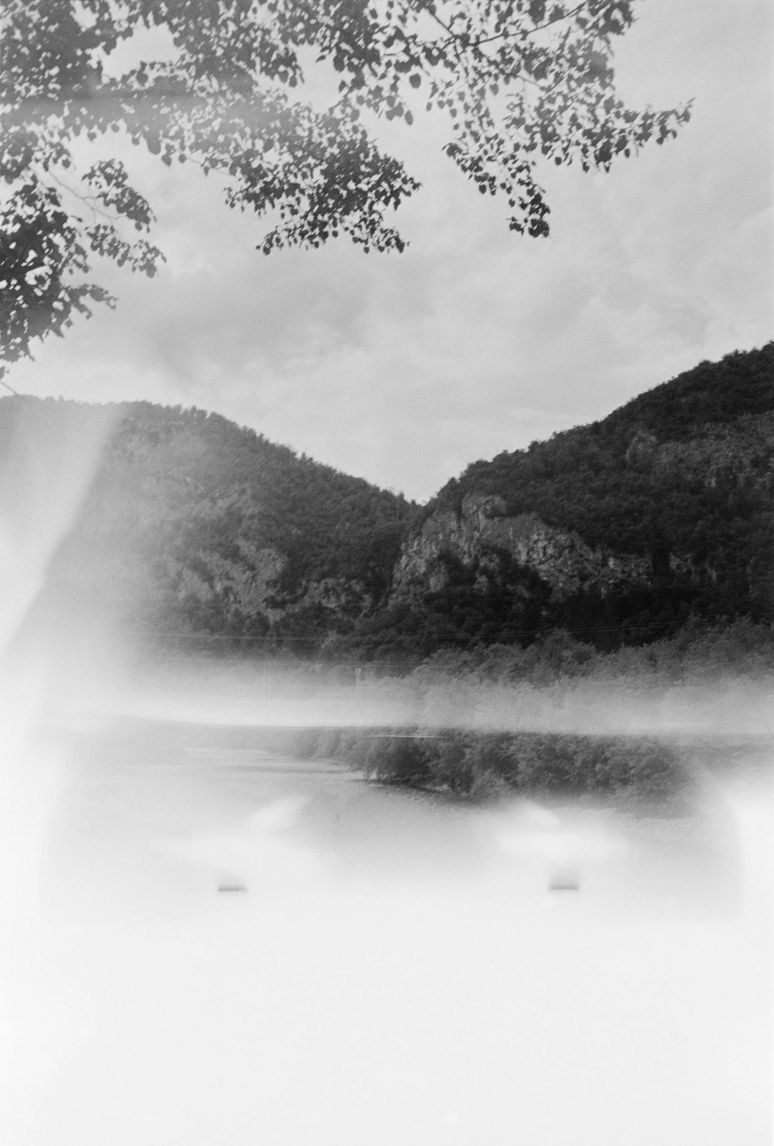 euroscan-384-positive.jpg