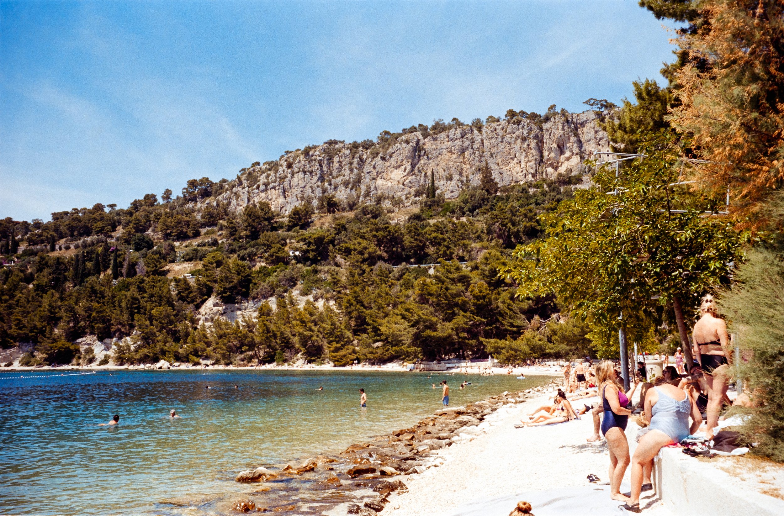 euroscan-91-positive.jpg