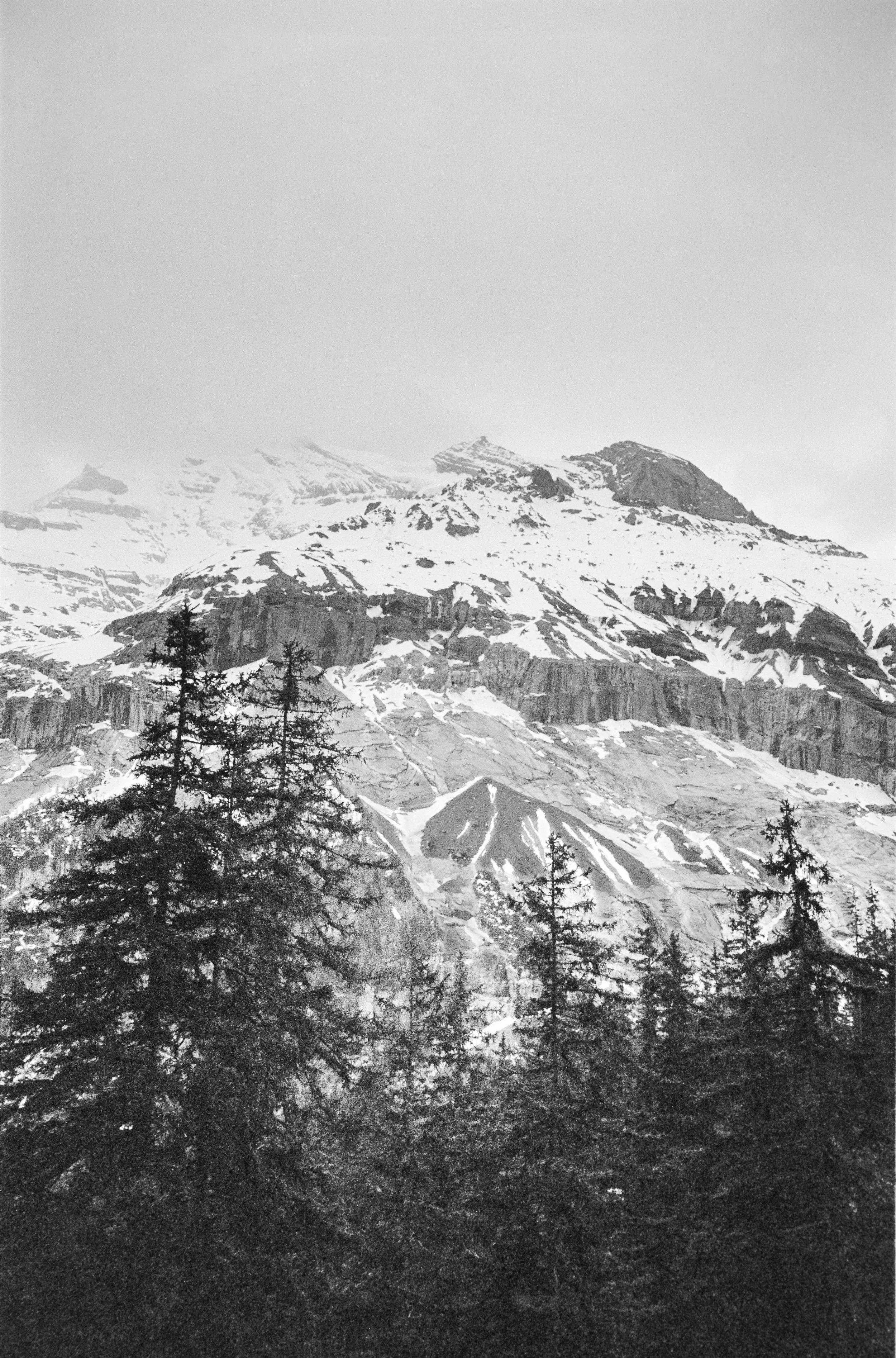 euroscan-512-positive.jpg