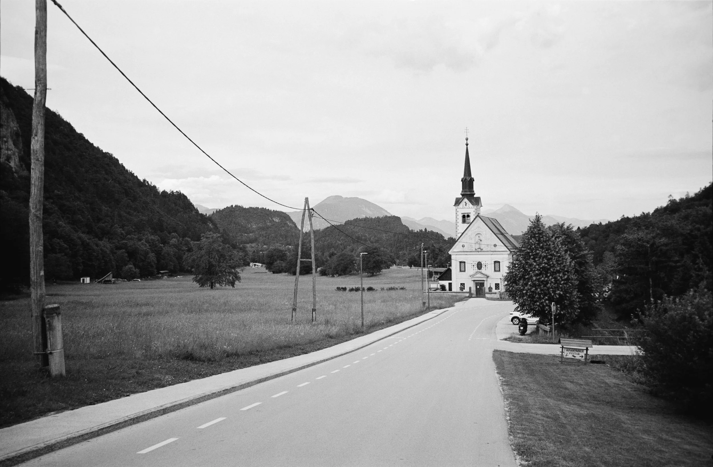 euroscan-390-positive.jpg
