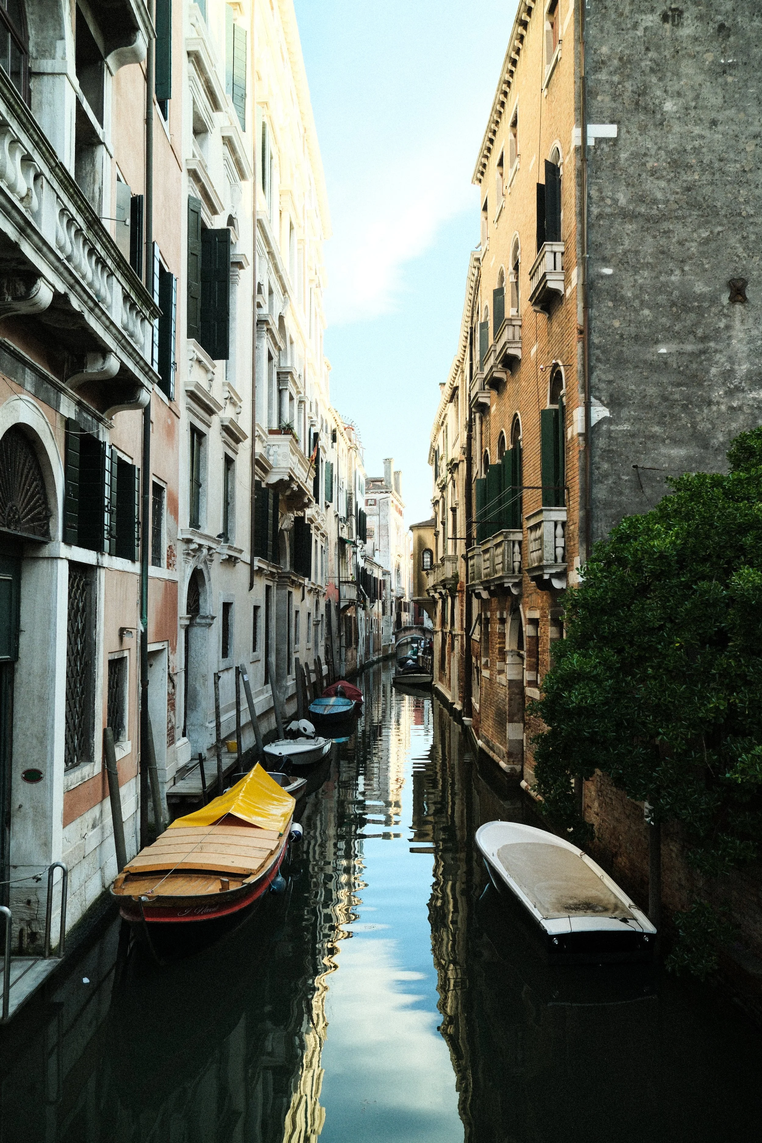 _DSF2682.jpg