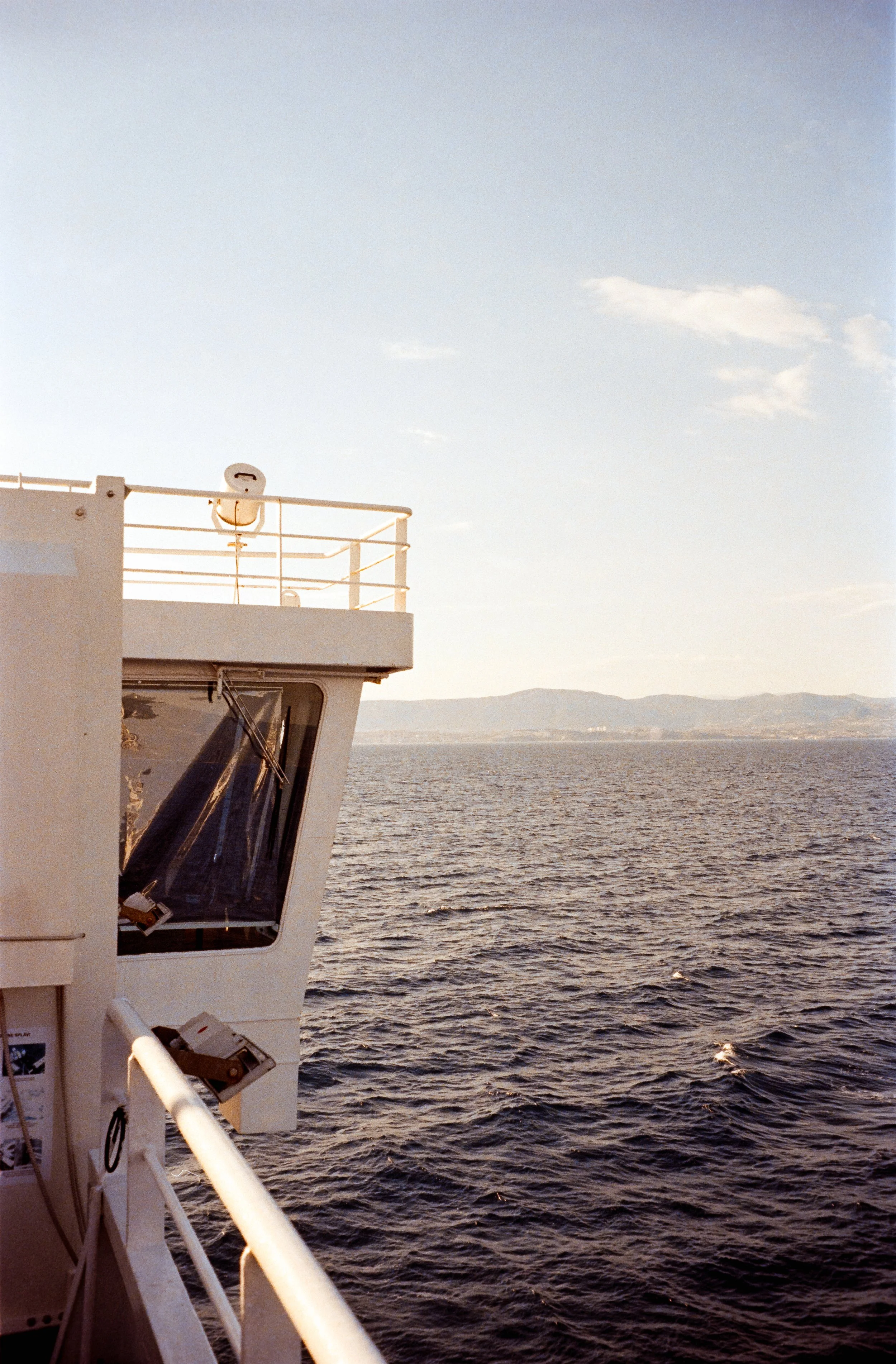 euroscan-95-positive.jpg