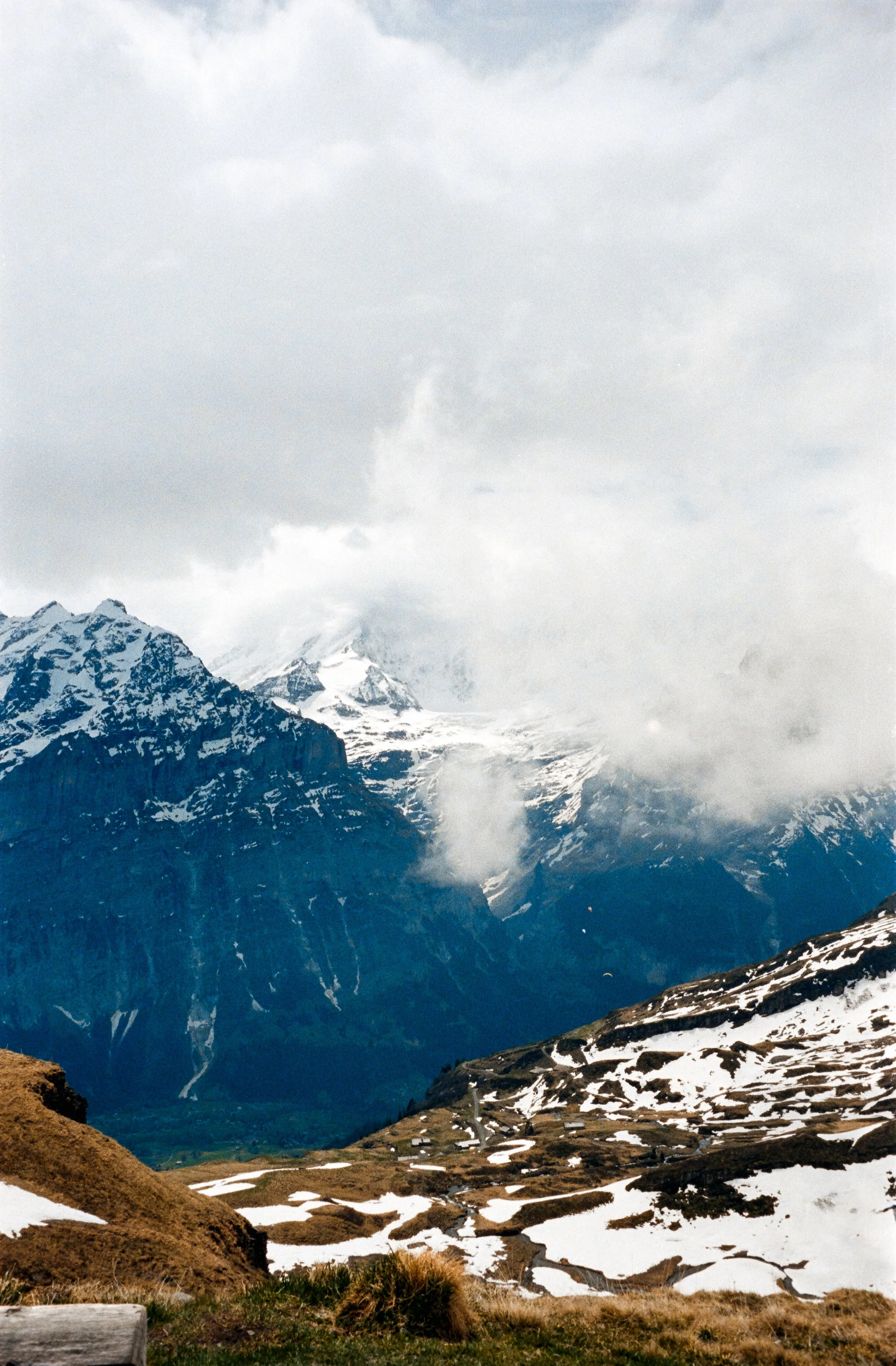 euroscan-221-positive.jpg