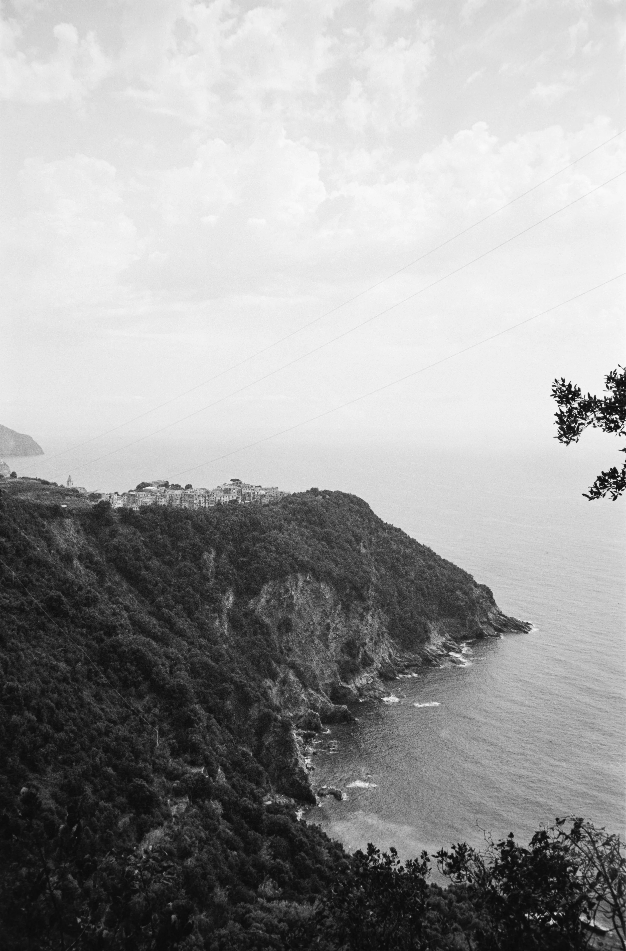 euroscan-358-positive.jpg