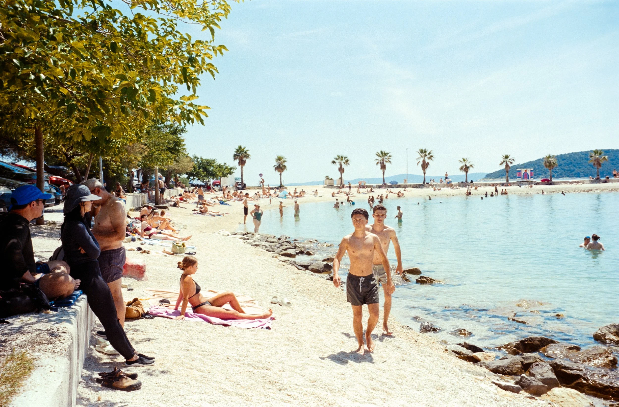 euroscan-92-positive.jpg